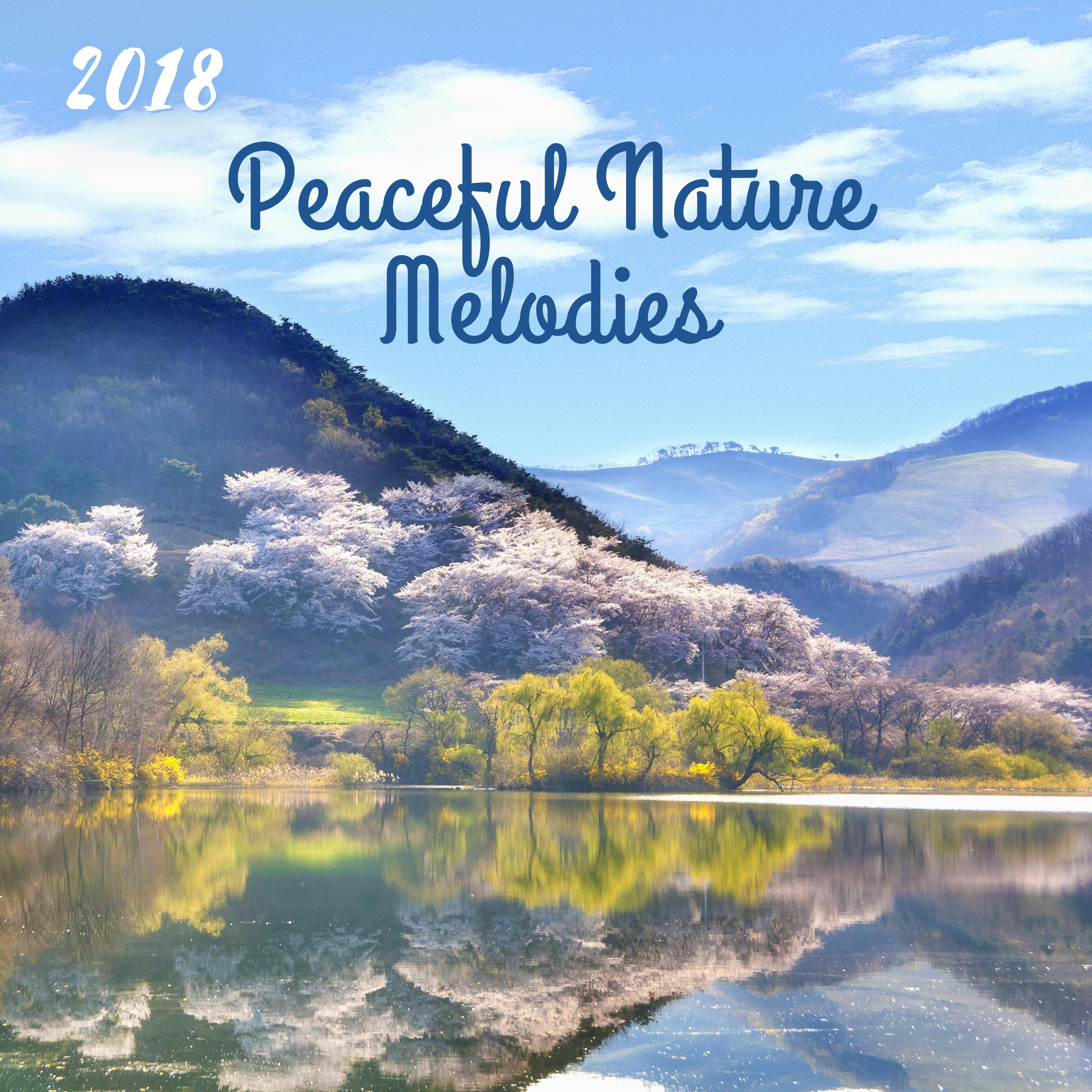 2018 Peaceful Nature Melodies