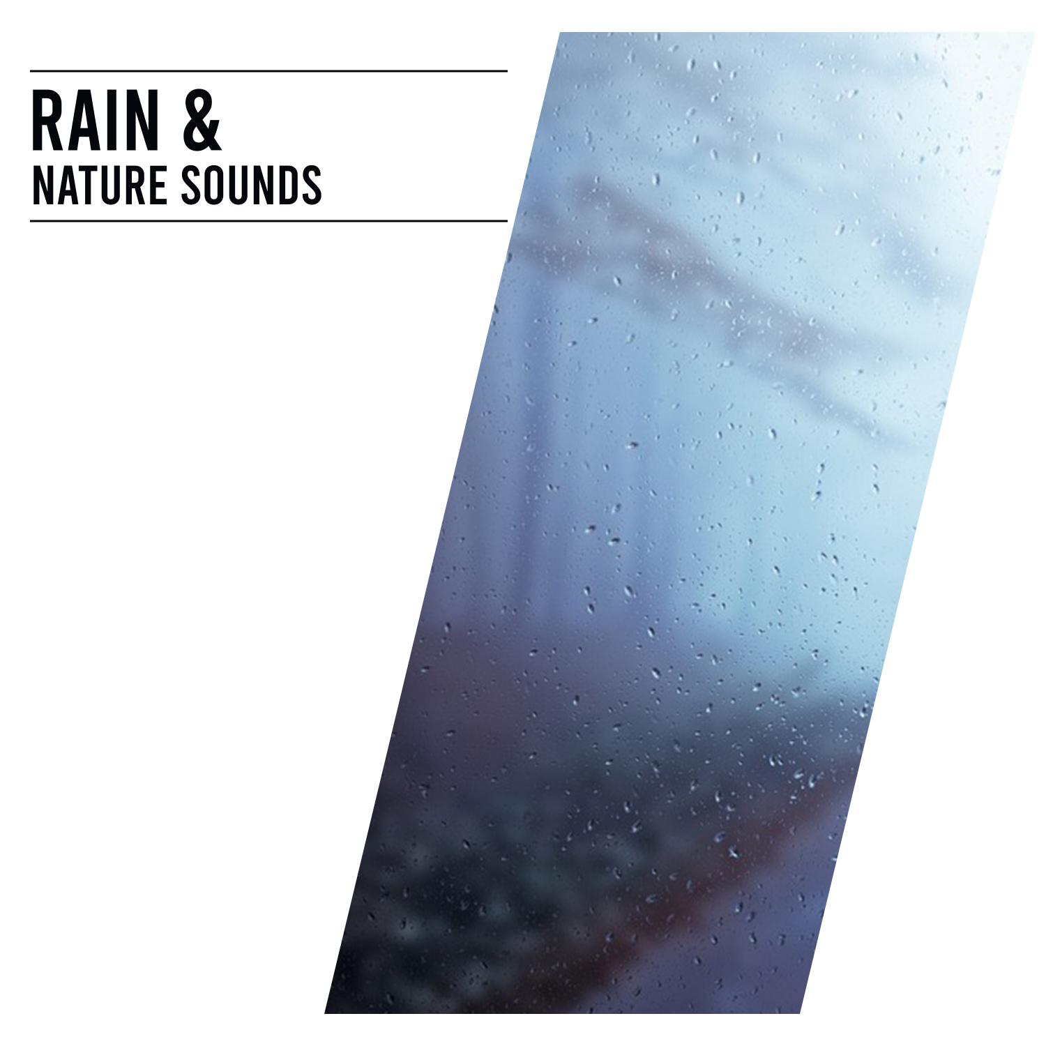 16 Dynamic Rain & Nature Sounds