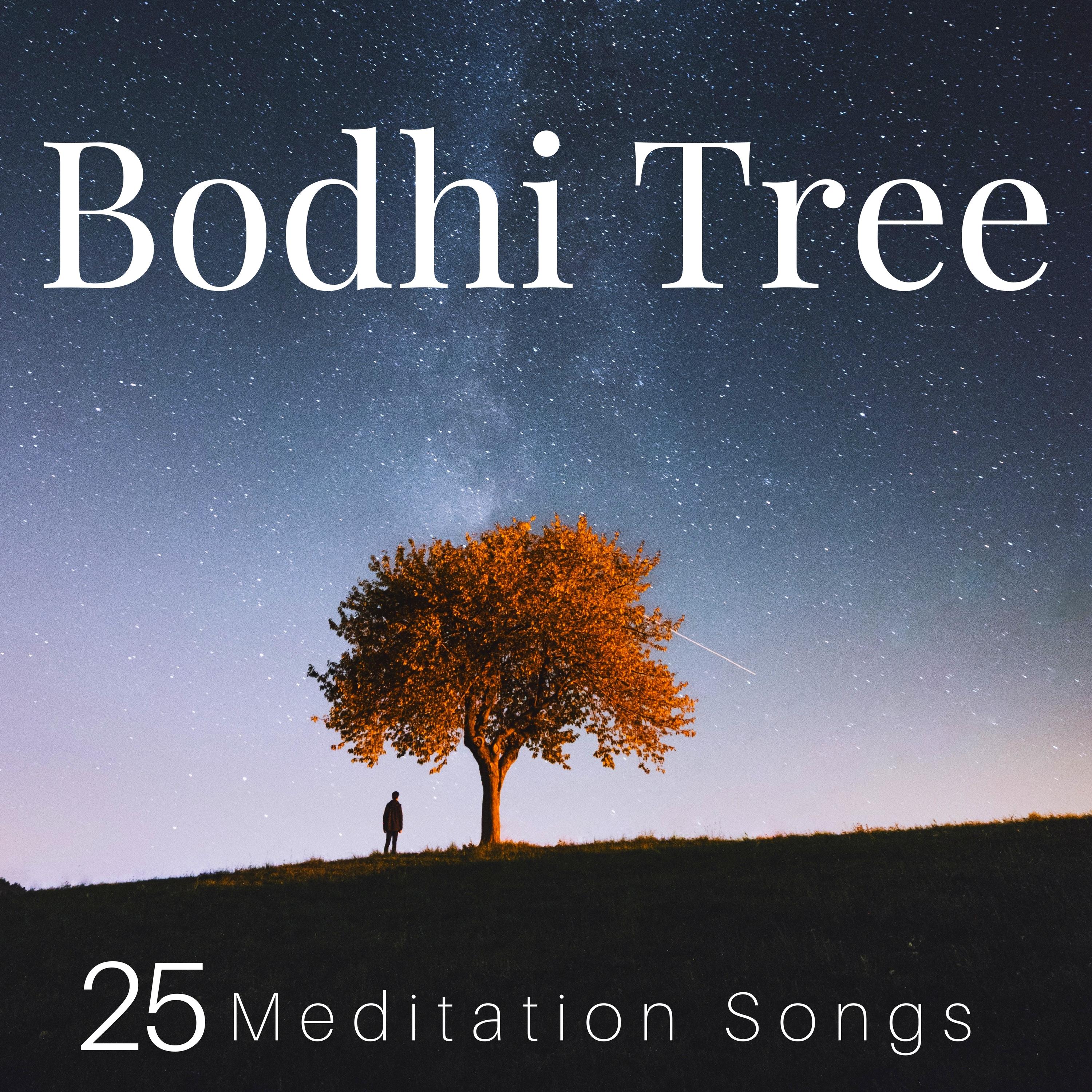 Bodhi Tree - 25 Meditation Songs