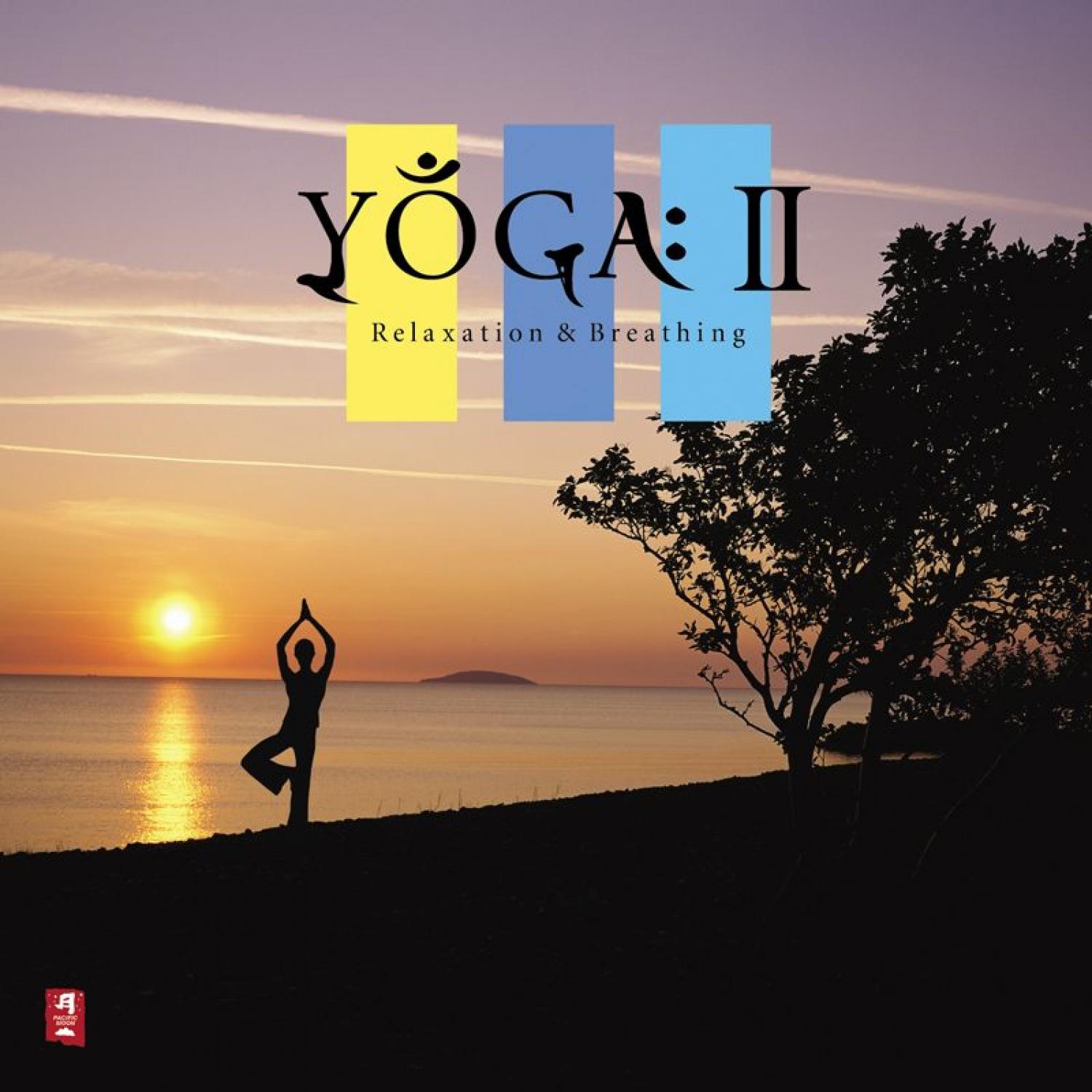 Yoga II: Relaxation & Breathing