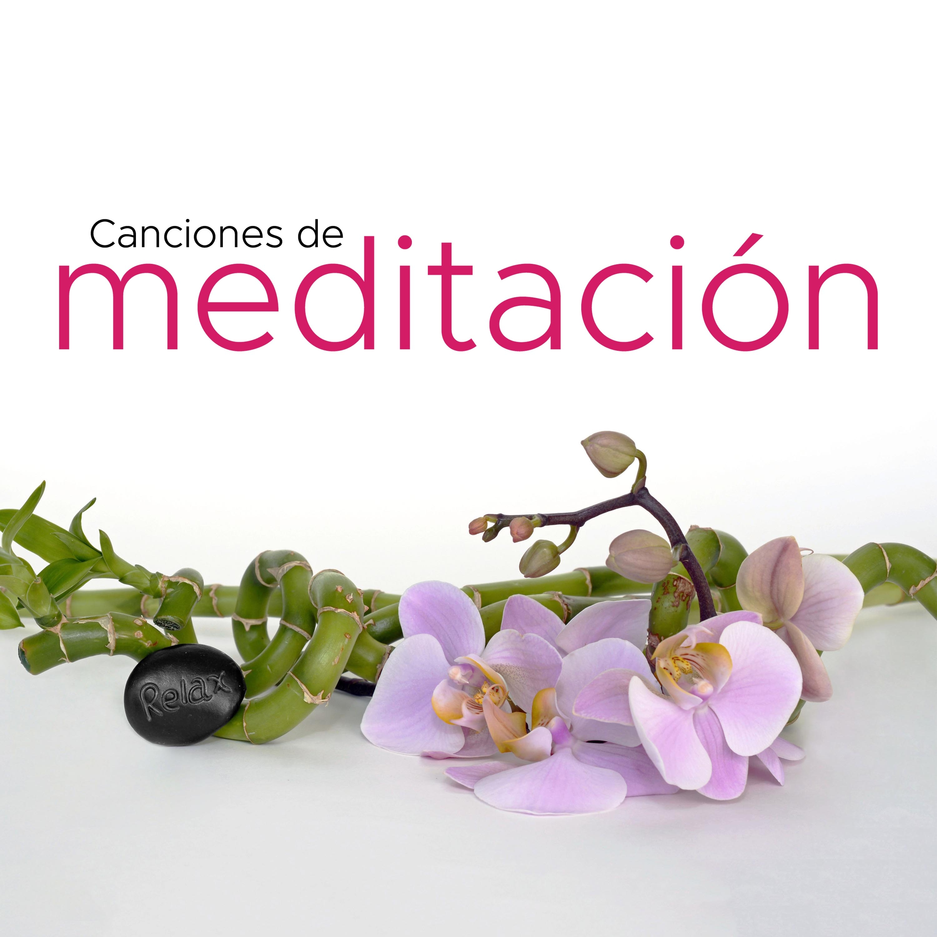 Las Mejores Canciones de Meditación y de Técnicas de Relajación para el Estrés