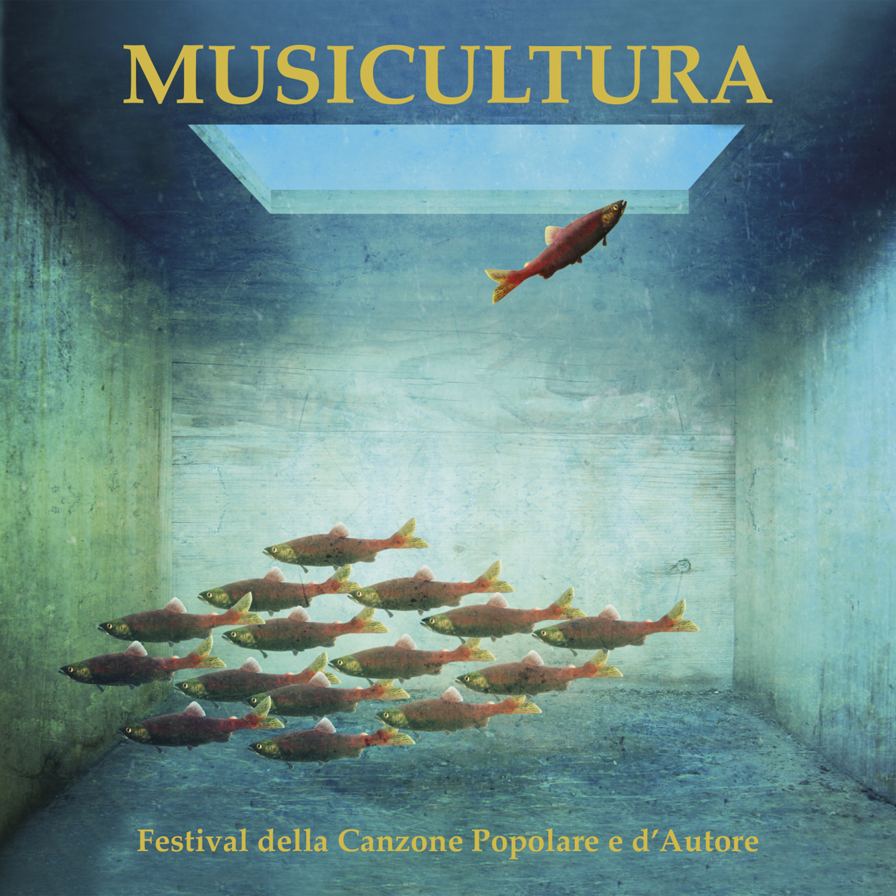 Musicultura Festival della canzone popolare e d'autore XXVIII Edizione (2017)