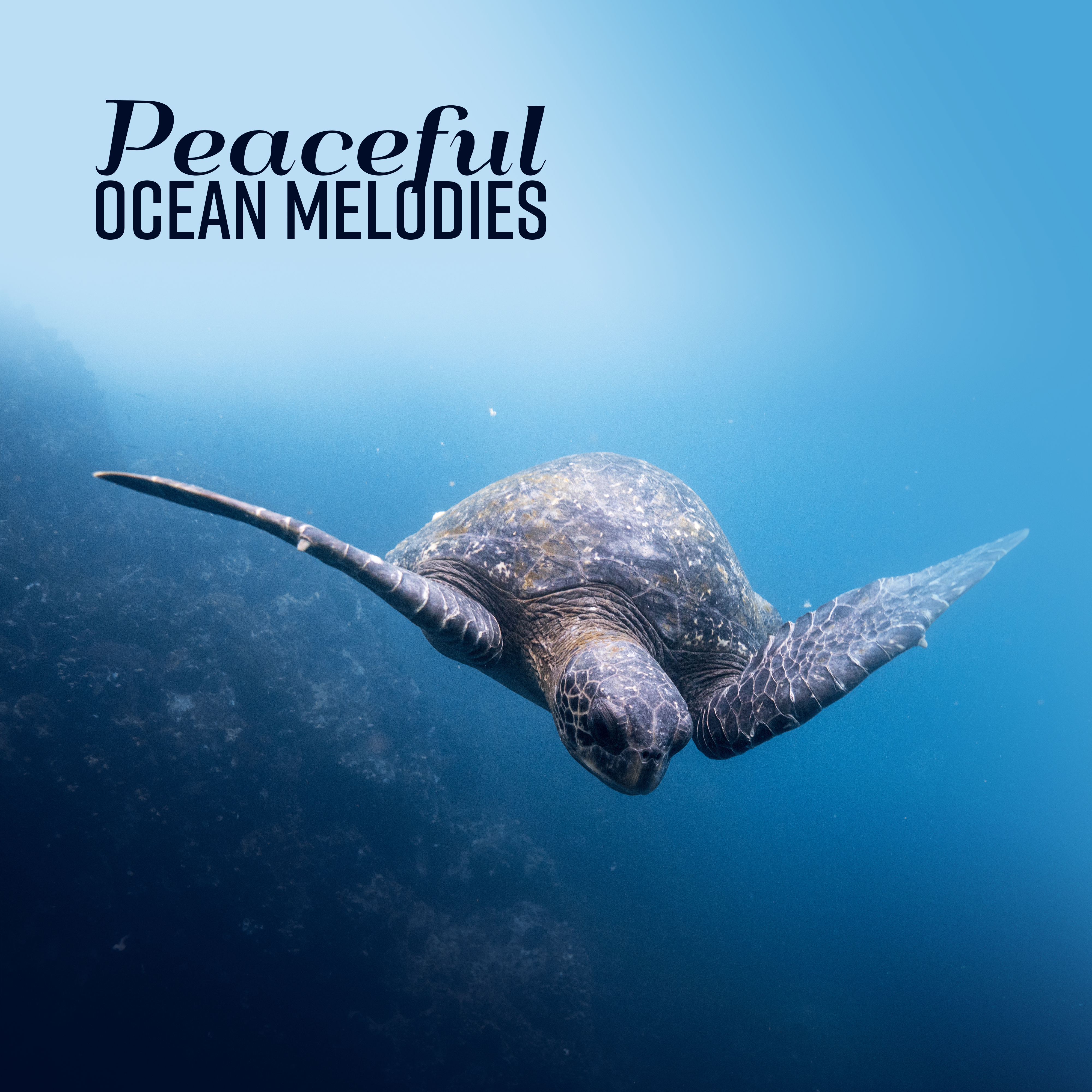 Peaceful Ocean Melodies