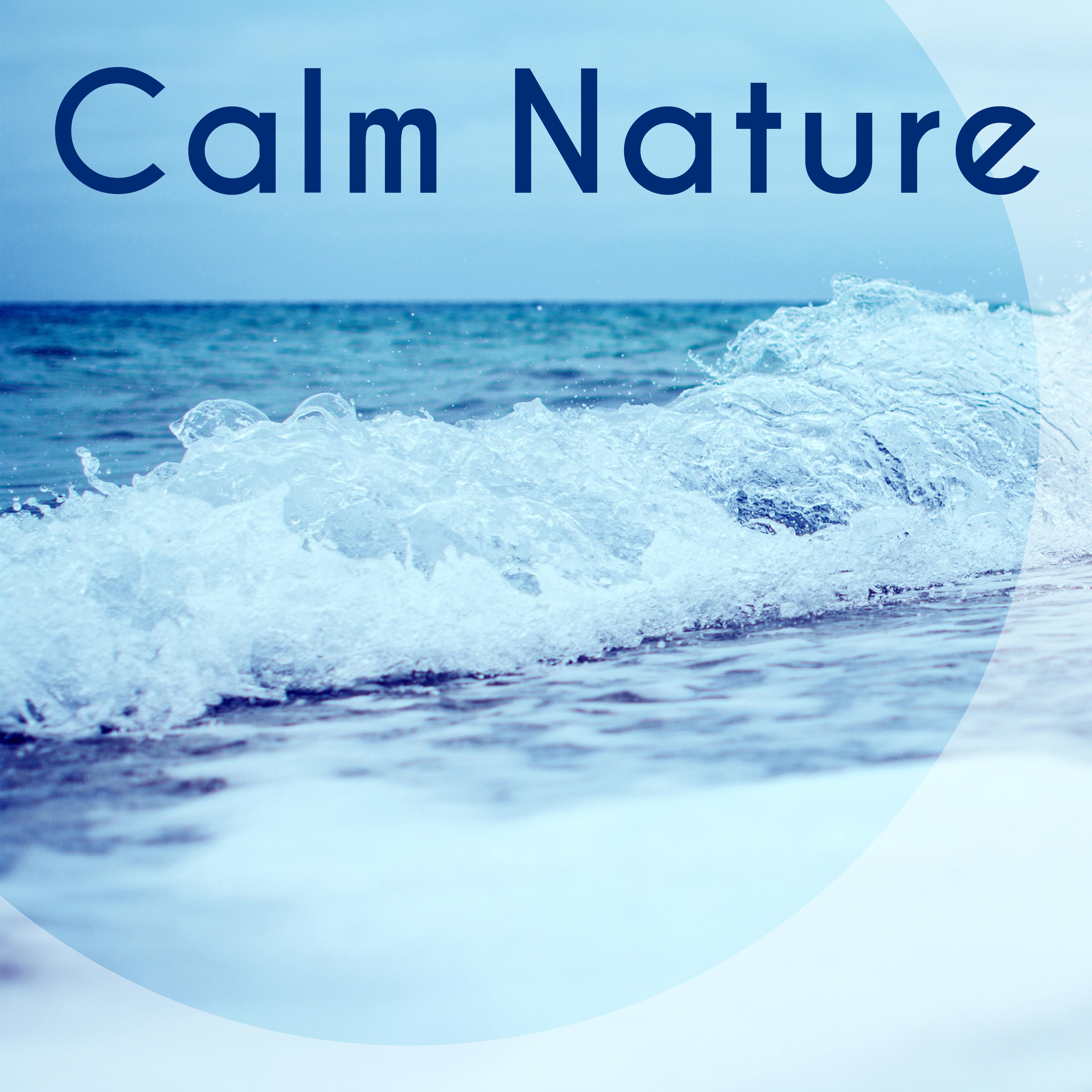 Calm Nature – New Age Relaxing Sounds, Healing Waves, Nature Grasp