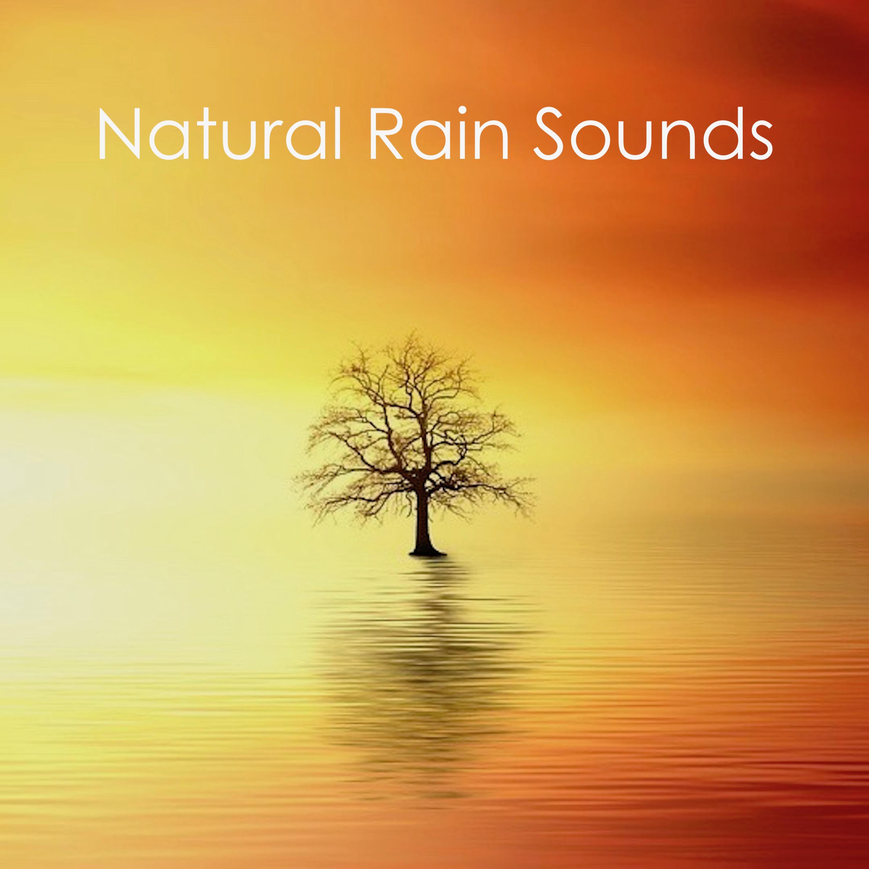 #17 Nature Rain Sounds for Sleep, Meditation and Yoga, Beat Insomnia, Sleep All Night, Anxiety, Study, Natural Sounds Loopable Rain Compilation