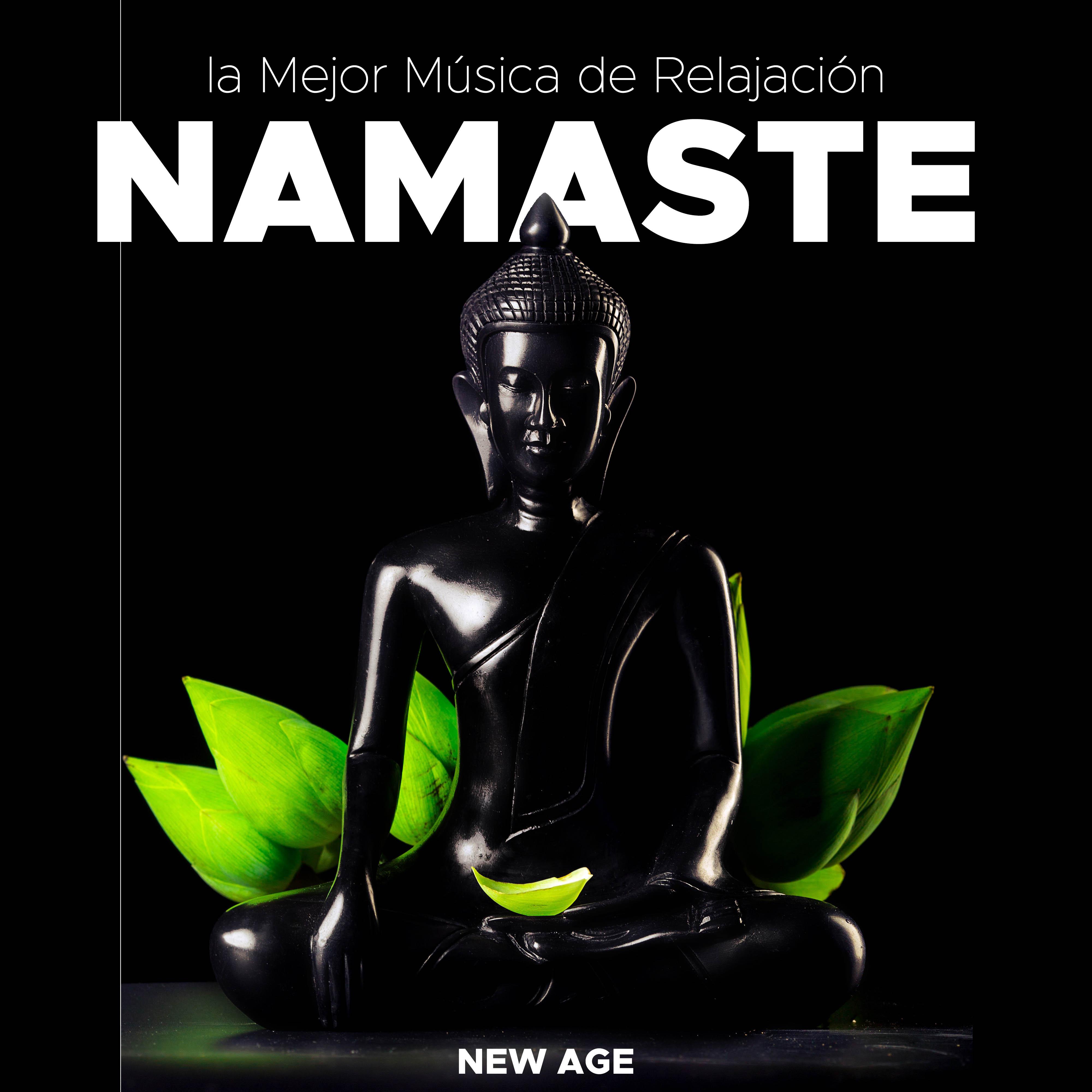 Namaste: la Mejor Música de Relajación, Ambient, New Age, Instrumental (Lluvia, Olas del Mar, Naturaleza y Ruido Blanco)