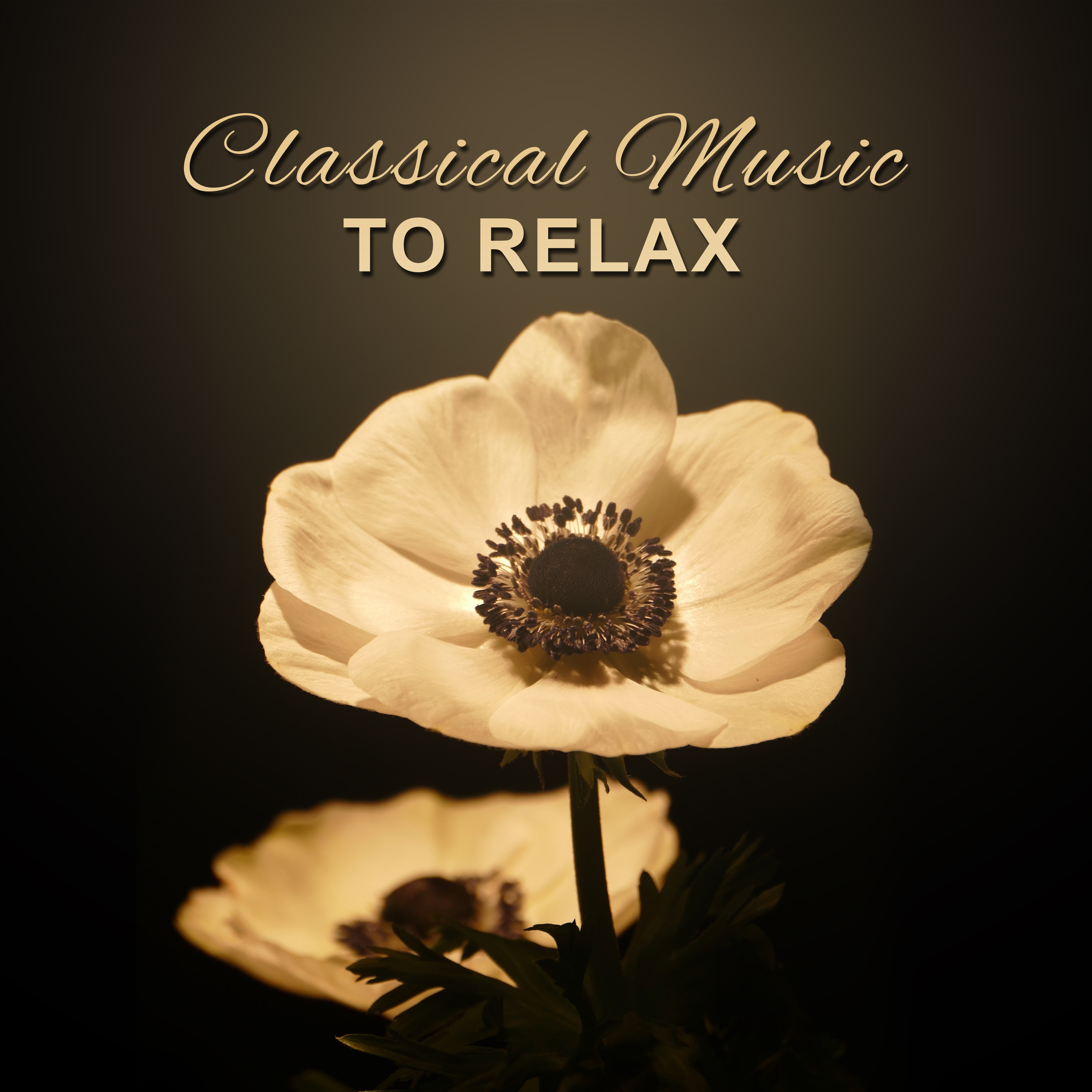 Classical Music to Relax – Rest with Great Composers, Soft Music to Calm Down, Peaceful Mind