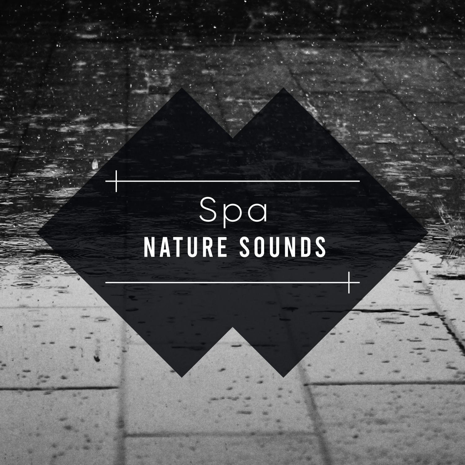 18 Spa Rain and Relaxing Nature Sounds - White Noise Meditation