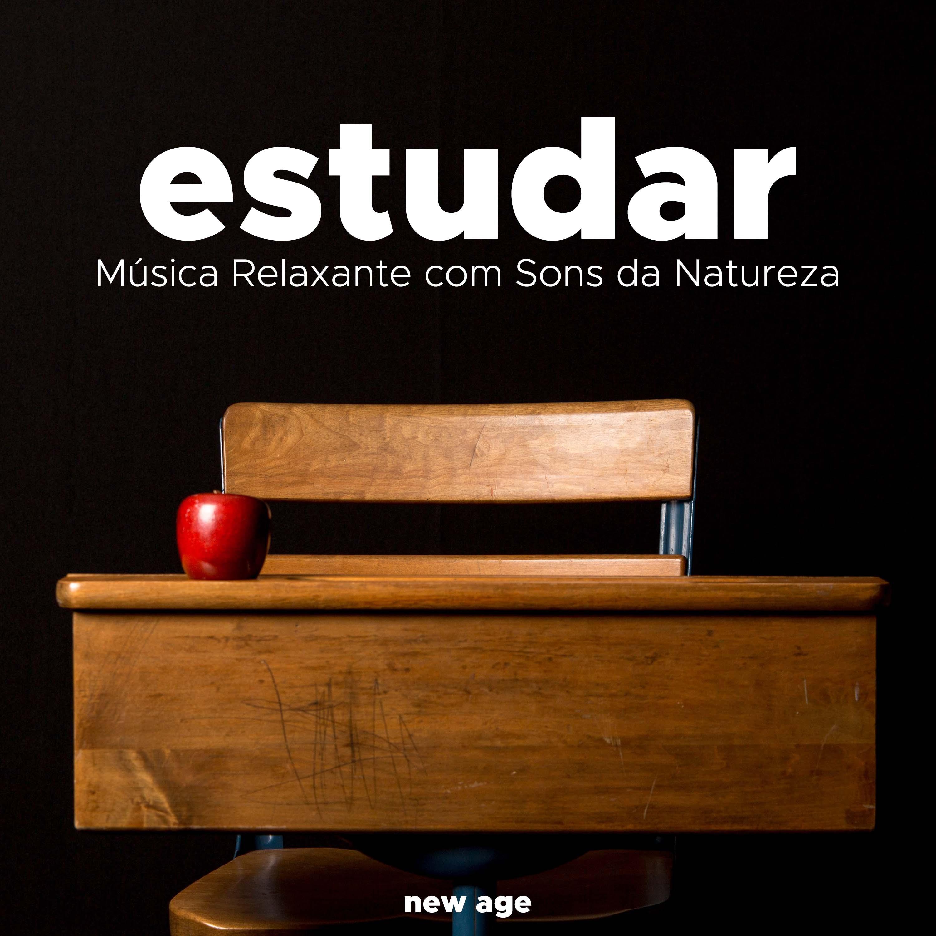 Música para Bebês