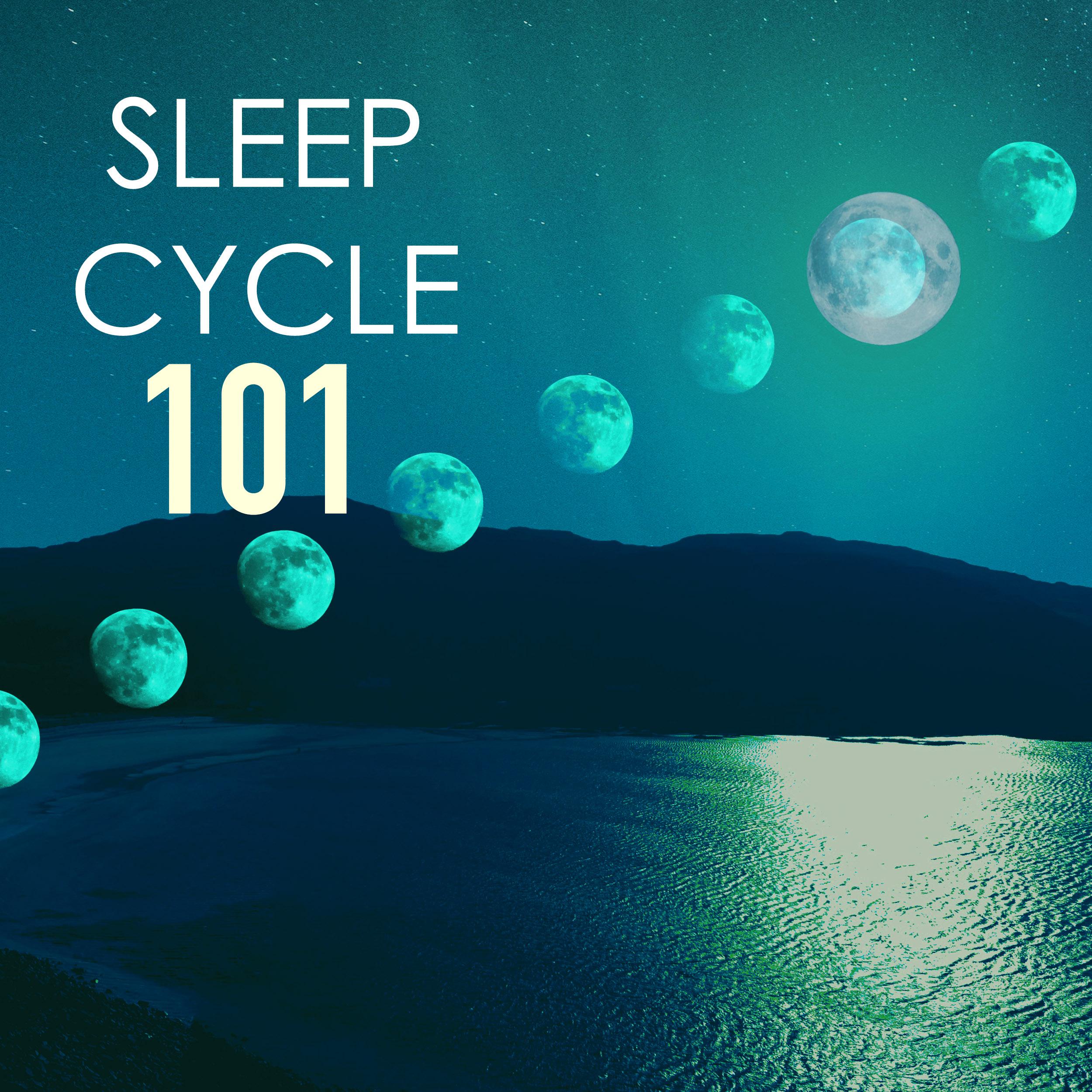 Sleep Cycle