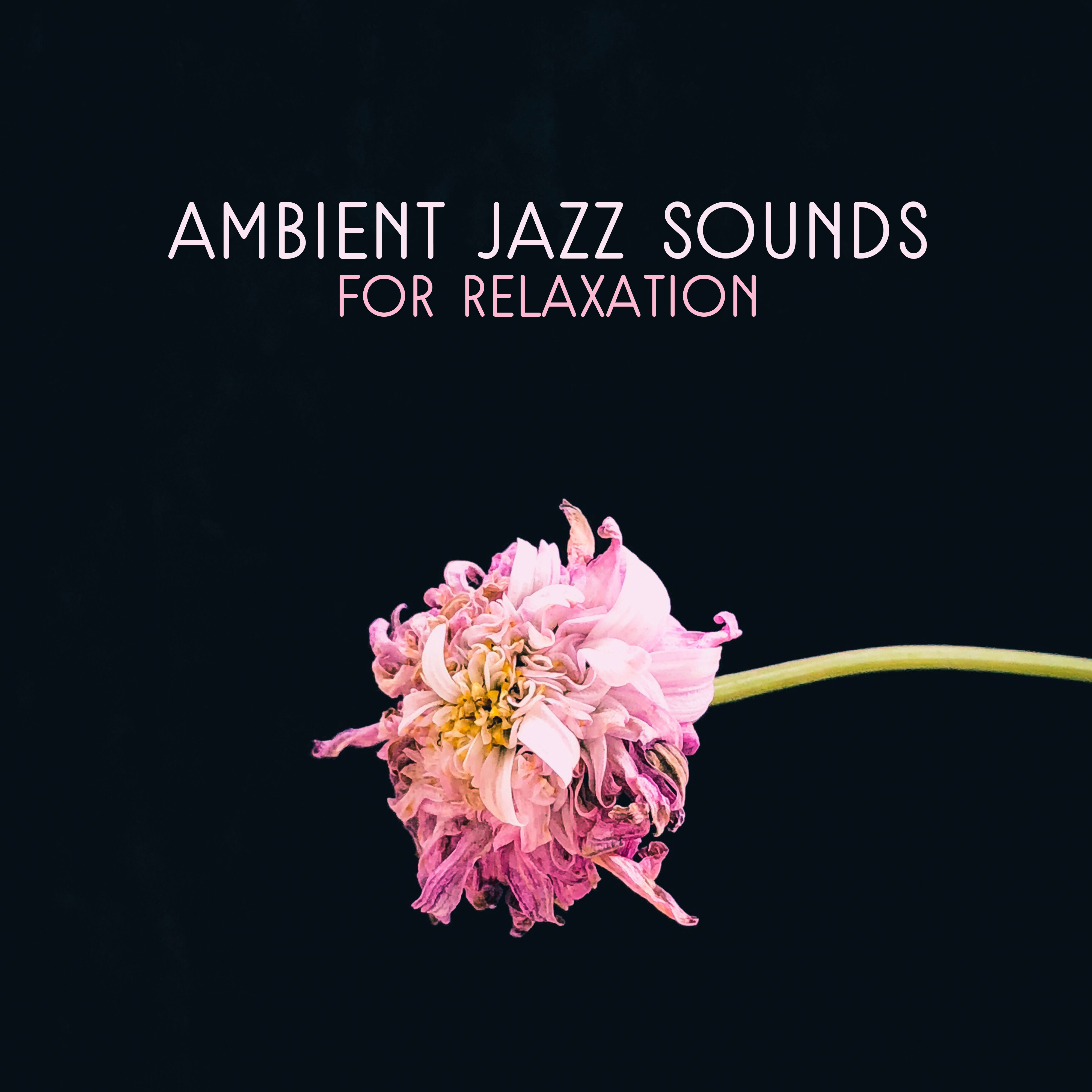 Ambient Jazz Sounds for Relaxation