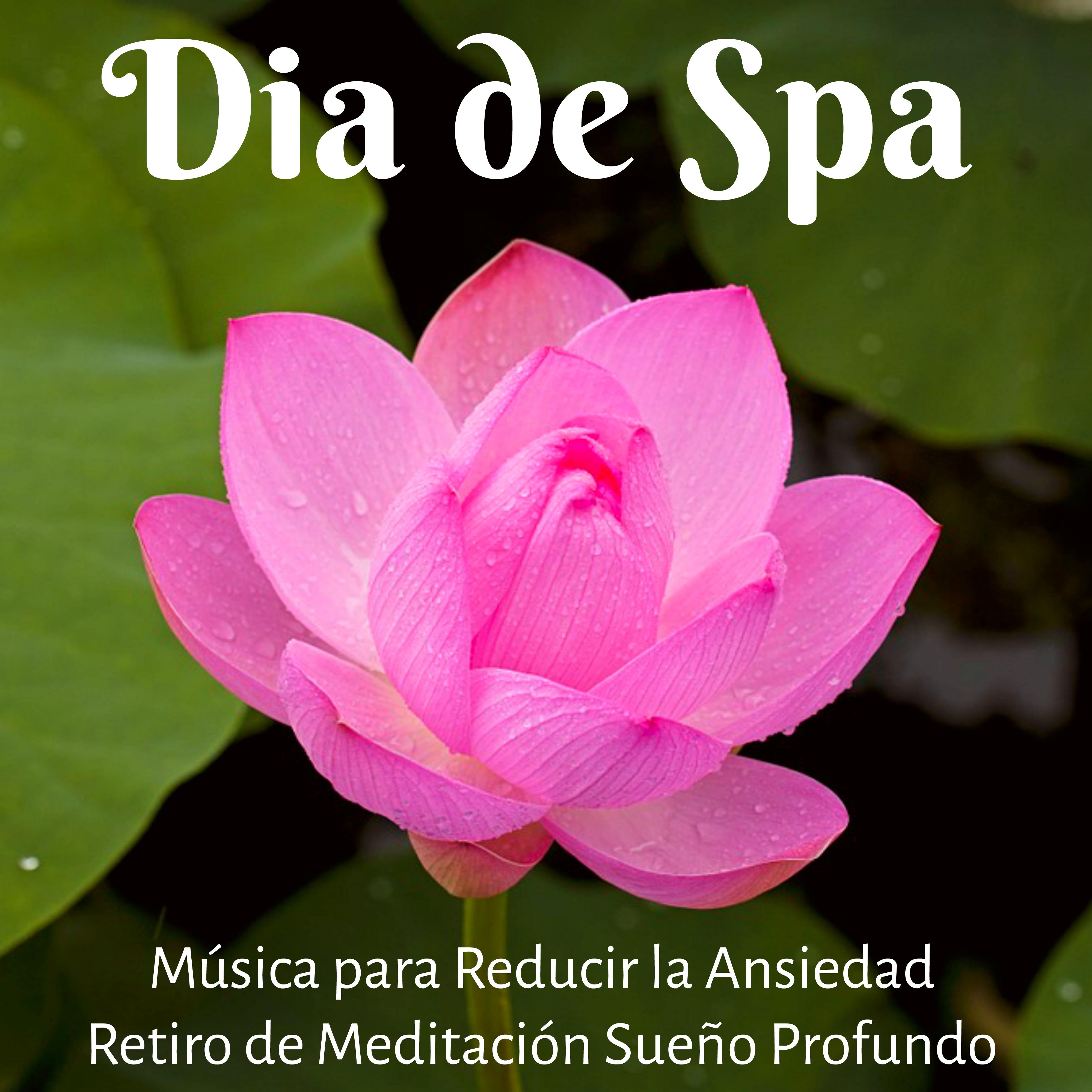Dia de Spa - Música para Reducir la Ansiedad Retiro de Meditación Sueño Profundo con Sonidos de la Naturaleza New Age Binaurales