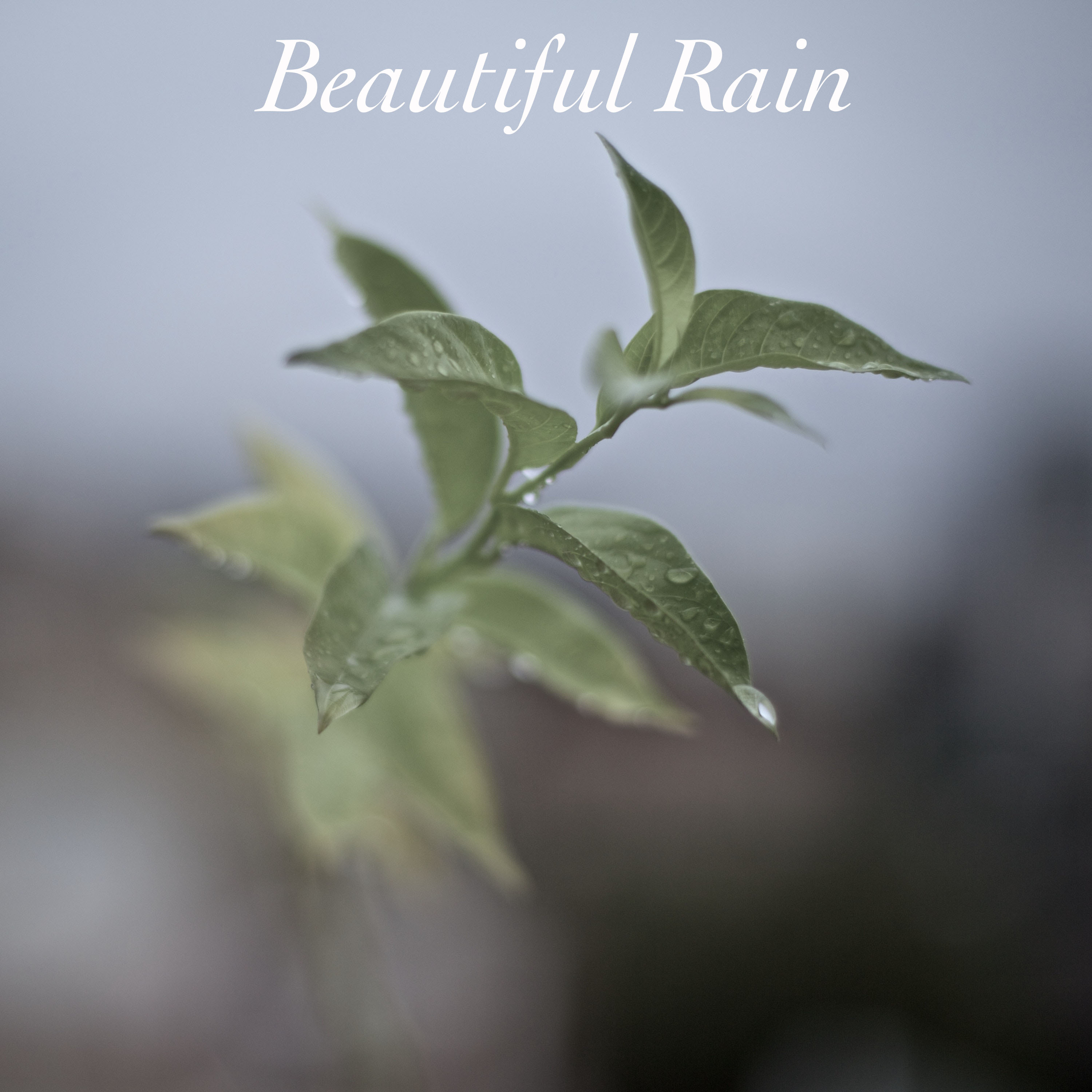 13 Beautiful Rain Sound. Drift Off, Relax, Meditate to Mother Nature
