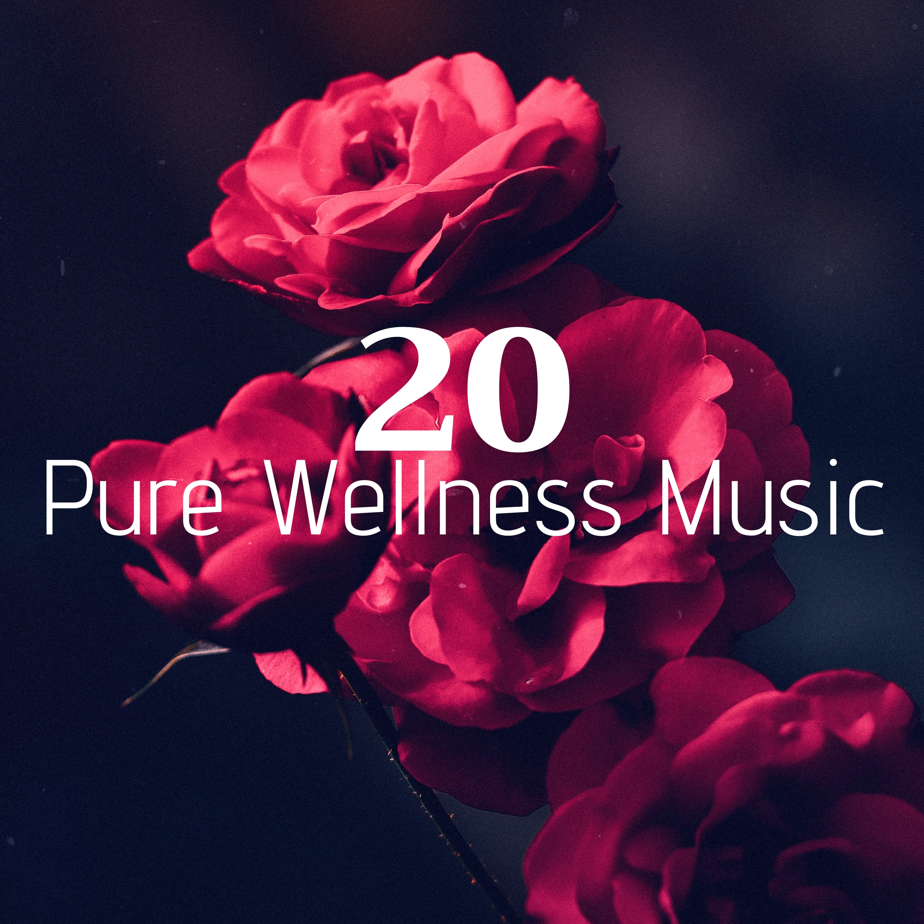 20 Pure Wellness Music - Rain Sounds, New Age Music, Find Relaxation Inside Your Soul