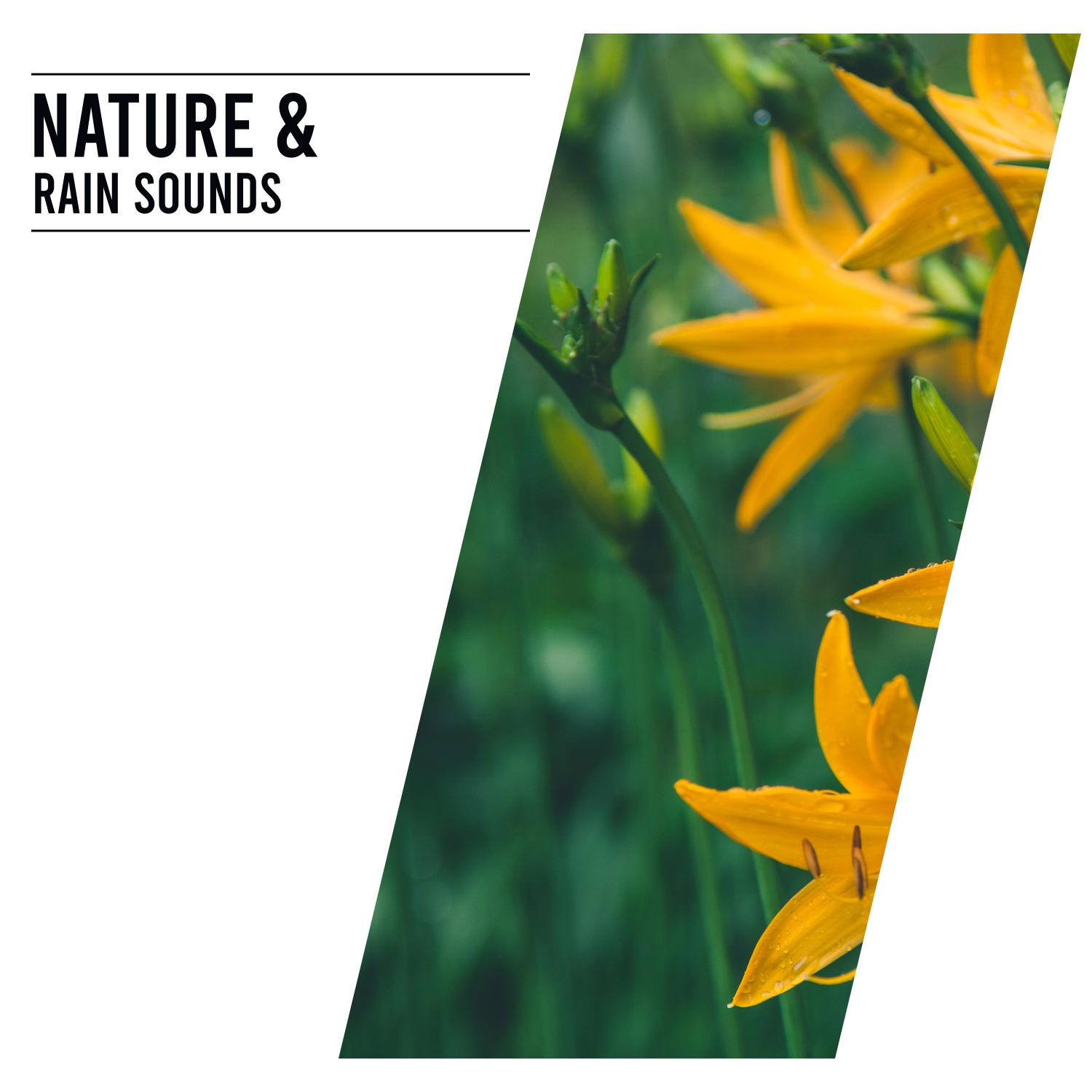 16 - Meditative Nature and Rain Sounds