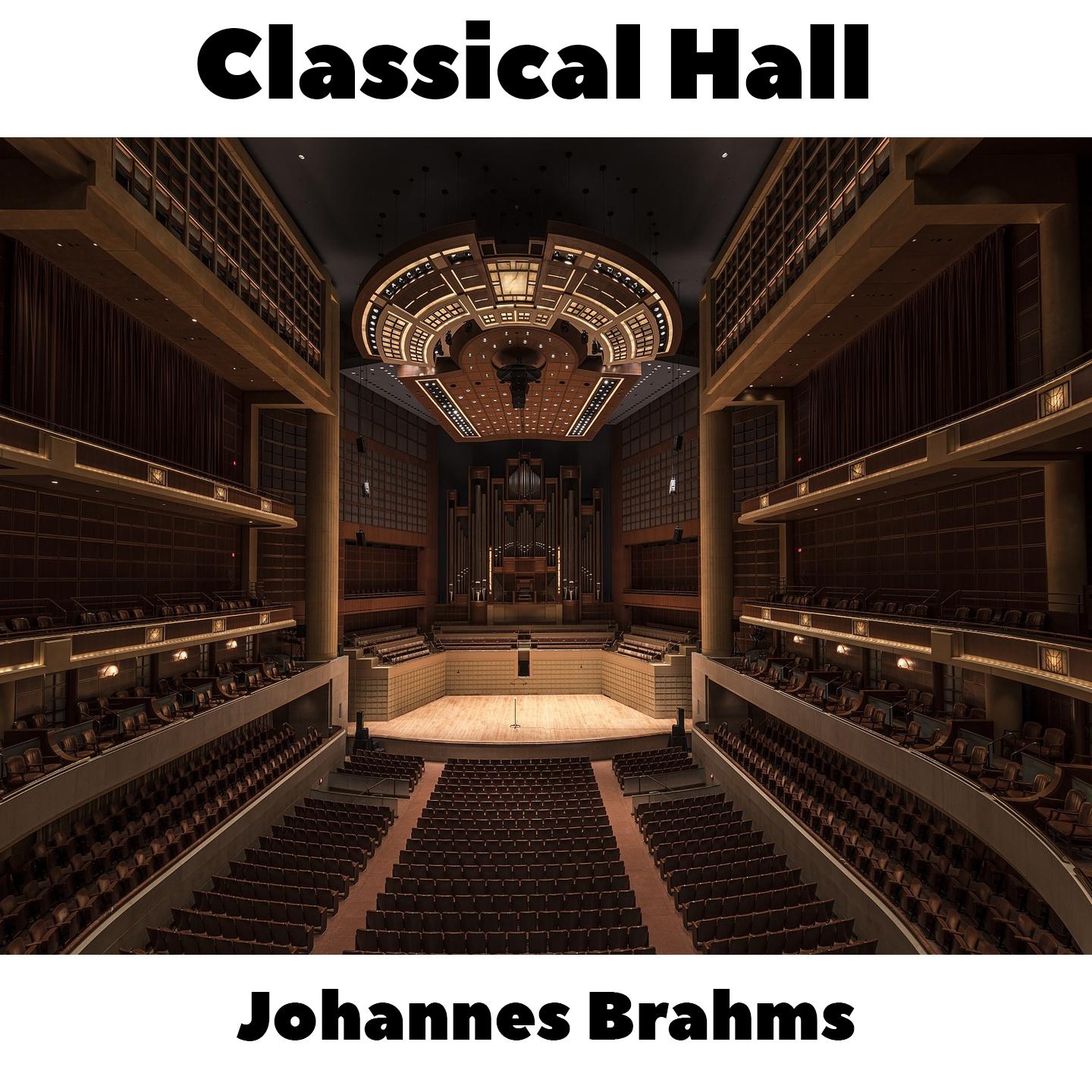 Johannes Brahms -  16 Waltzes, Op.39 - No.8 in Bb