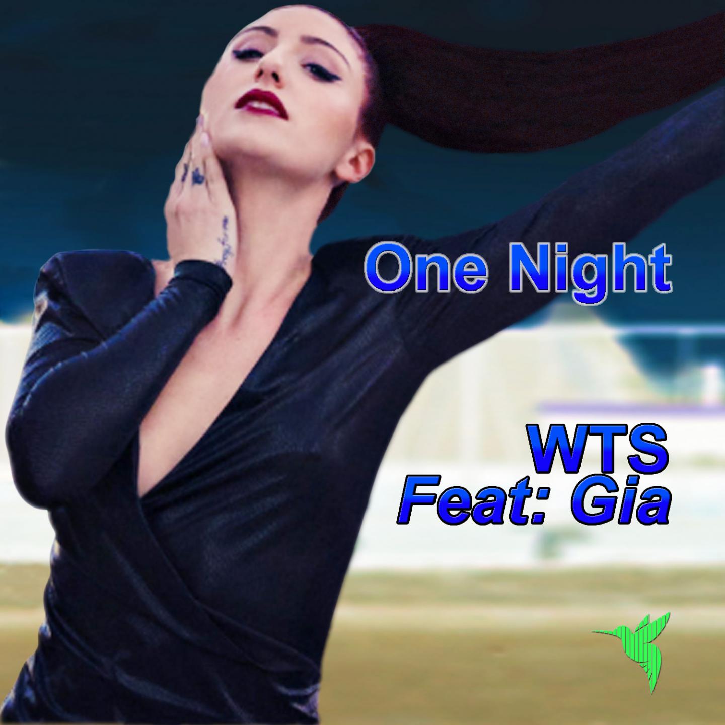 One Night (Wylvis Fila Remix)