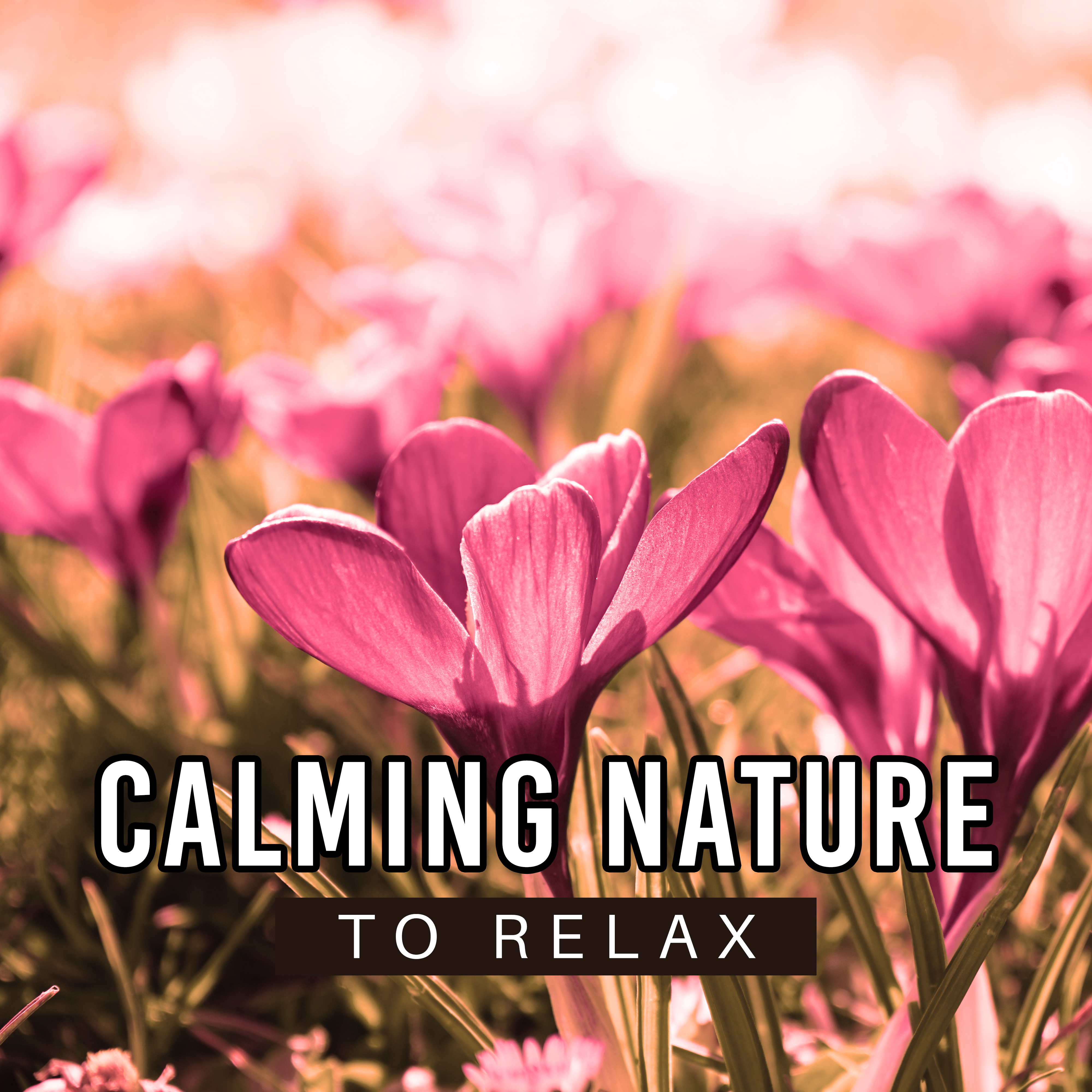 Calming Nature to Relax – Soft Waves, Relaxing Music, Easy Listening, Chilled Sounds