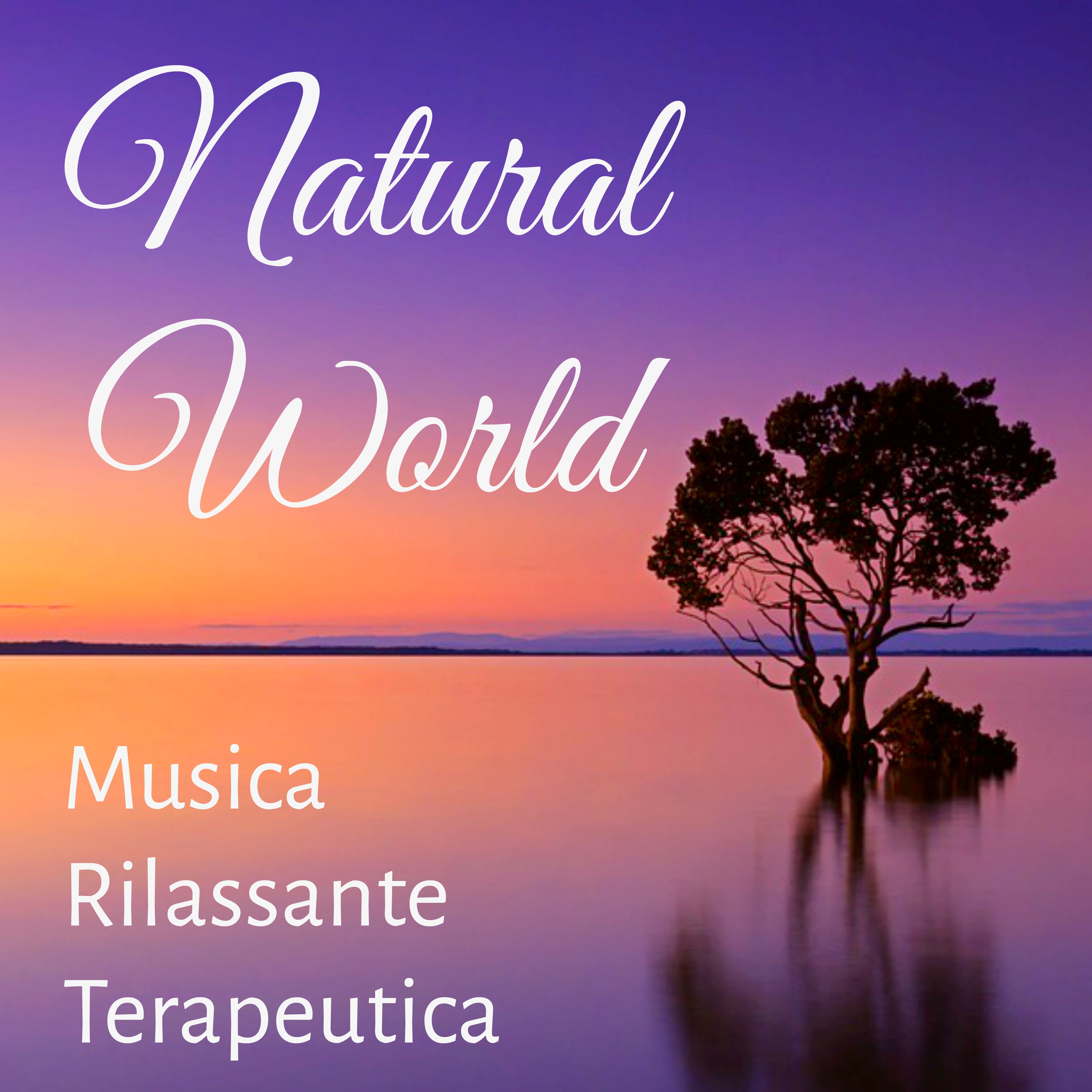 Natural World - Musica Rilassante Terapeutica di Meditazione per Equilibrio Emozionale Potere Spirituale Calma Interiore con Suoni della Natura Strumentali New Age