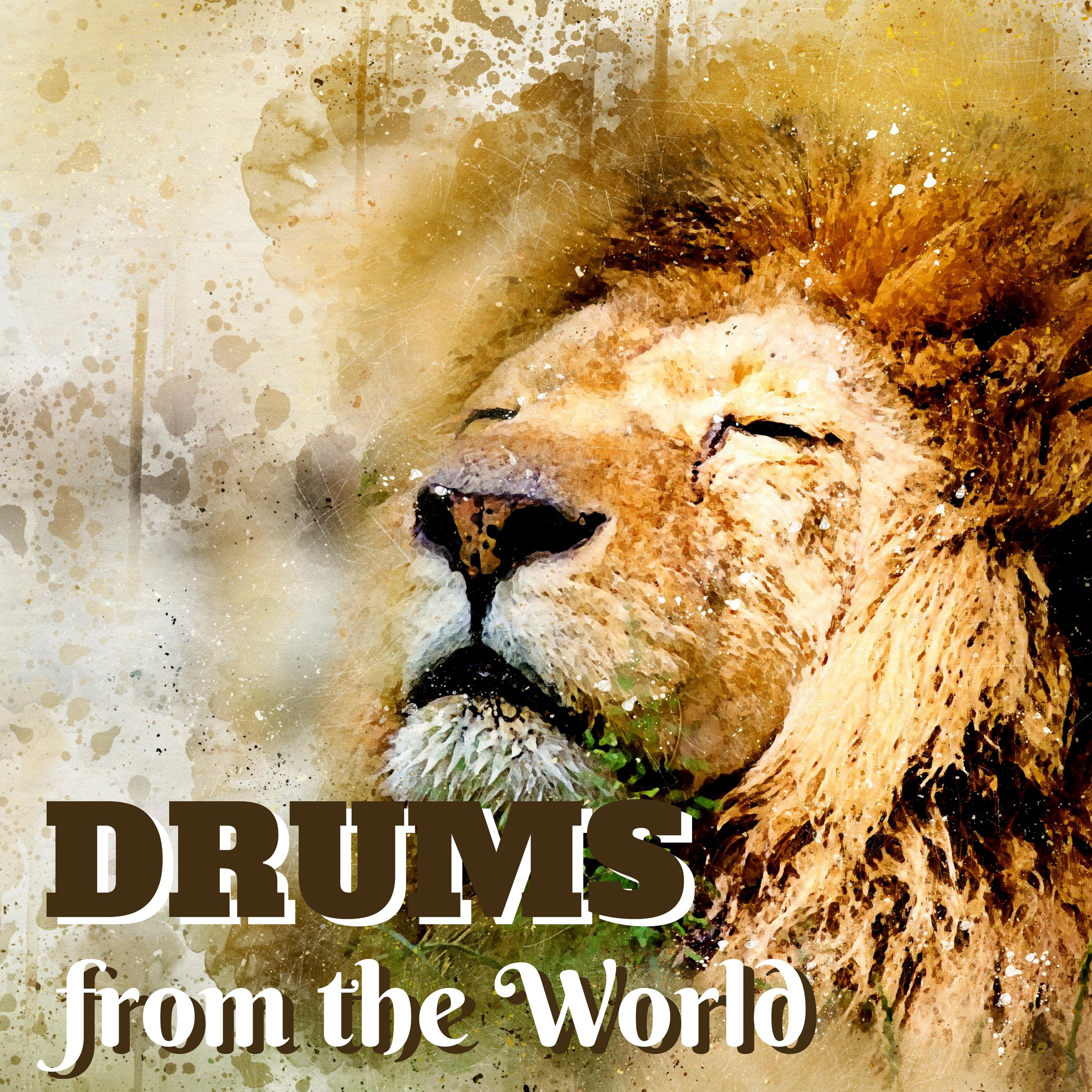 Drums from the World