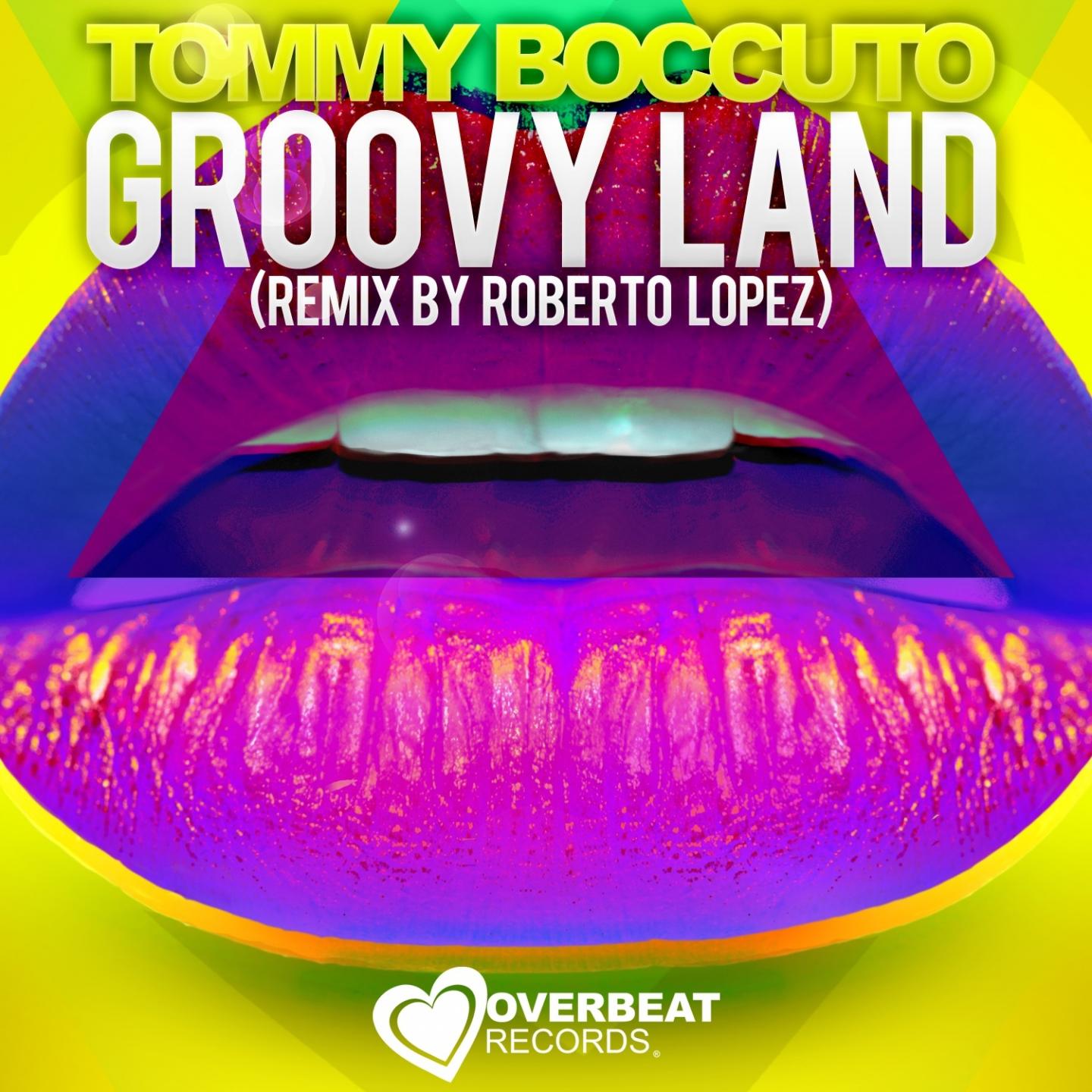 Groovy Land (Original Mix)