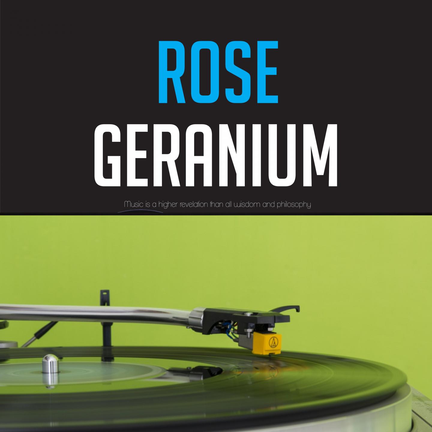 Rose Geranium