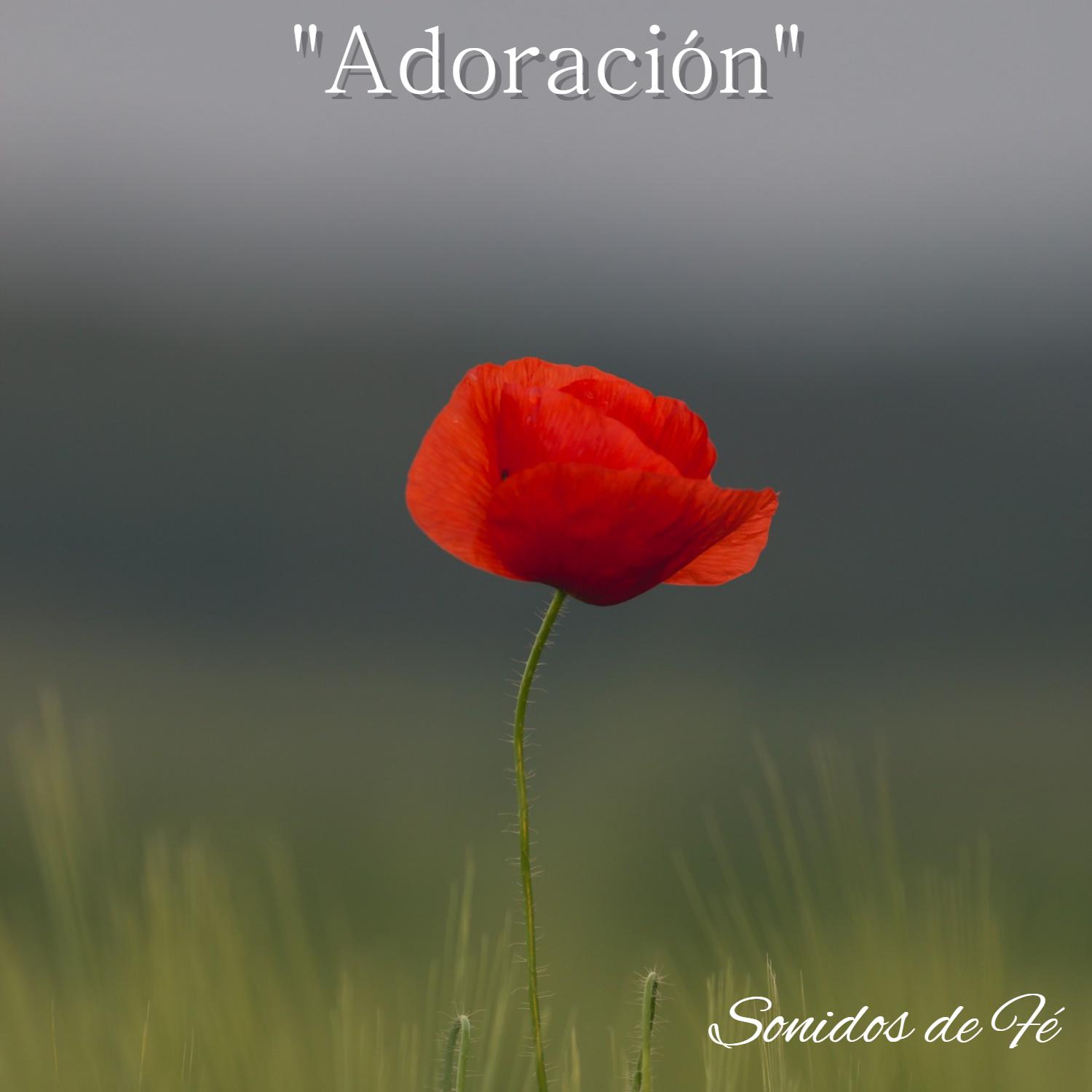 Adoración