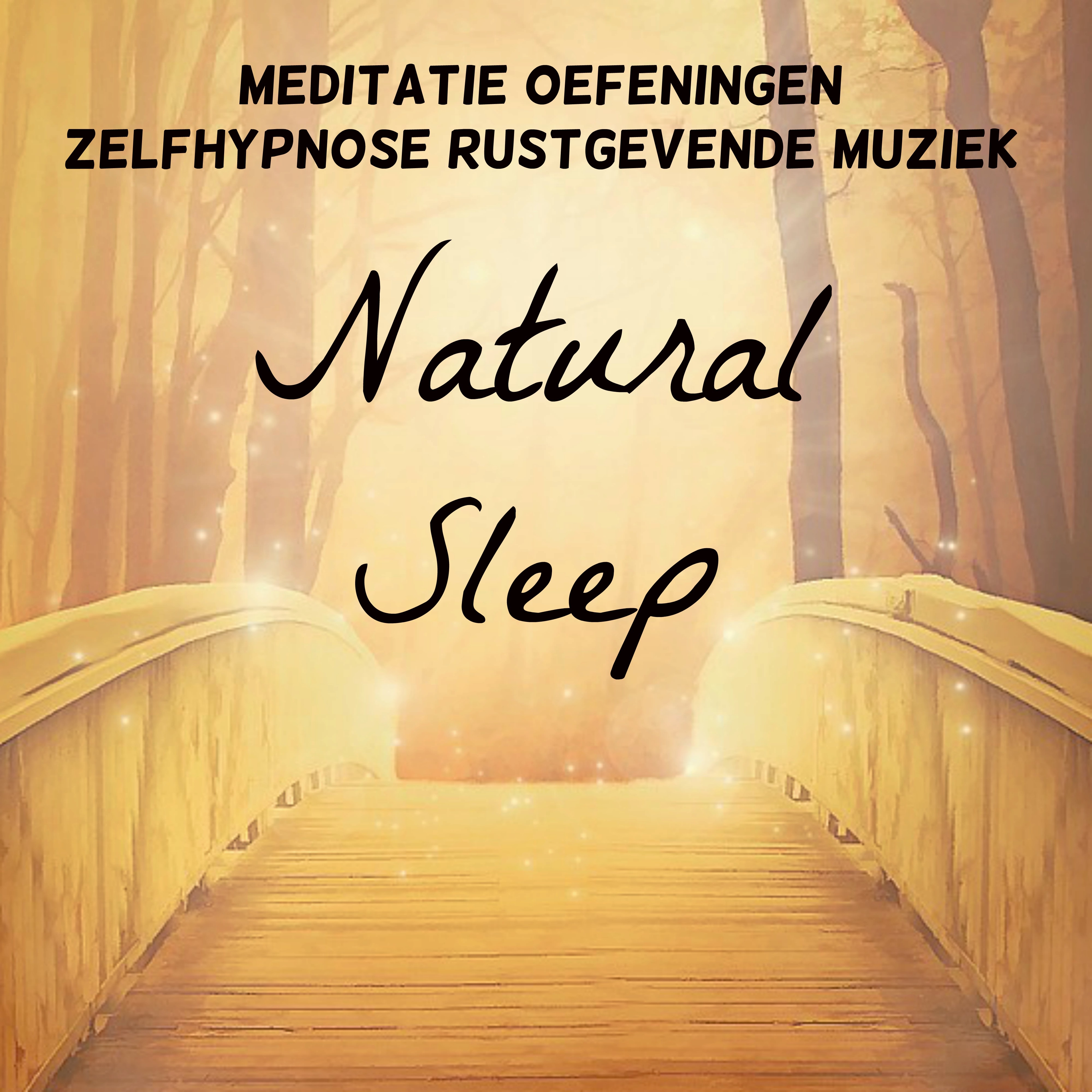Natural Sleep - Meditatie Oefeningen Zelfhypnose Rustgevende Muziek voor Chakra Opleiding Spirituele Genezing Yoga Massage Therapie met New Age Natuur Instrumentale Geluiden