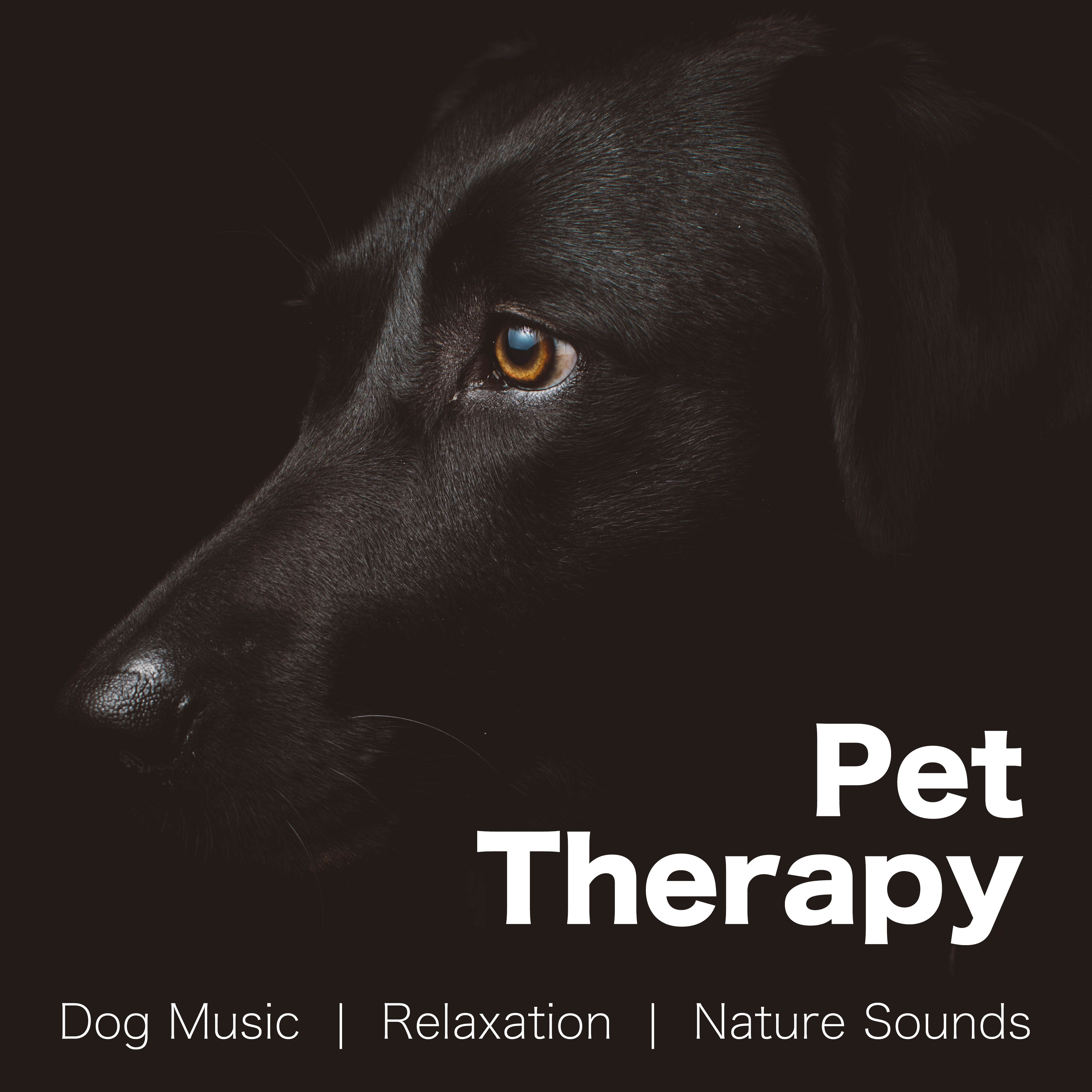 Pet Therapy - Dog Music for a Deep Sense of Relaxation