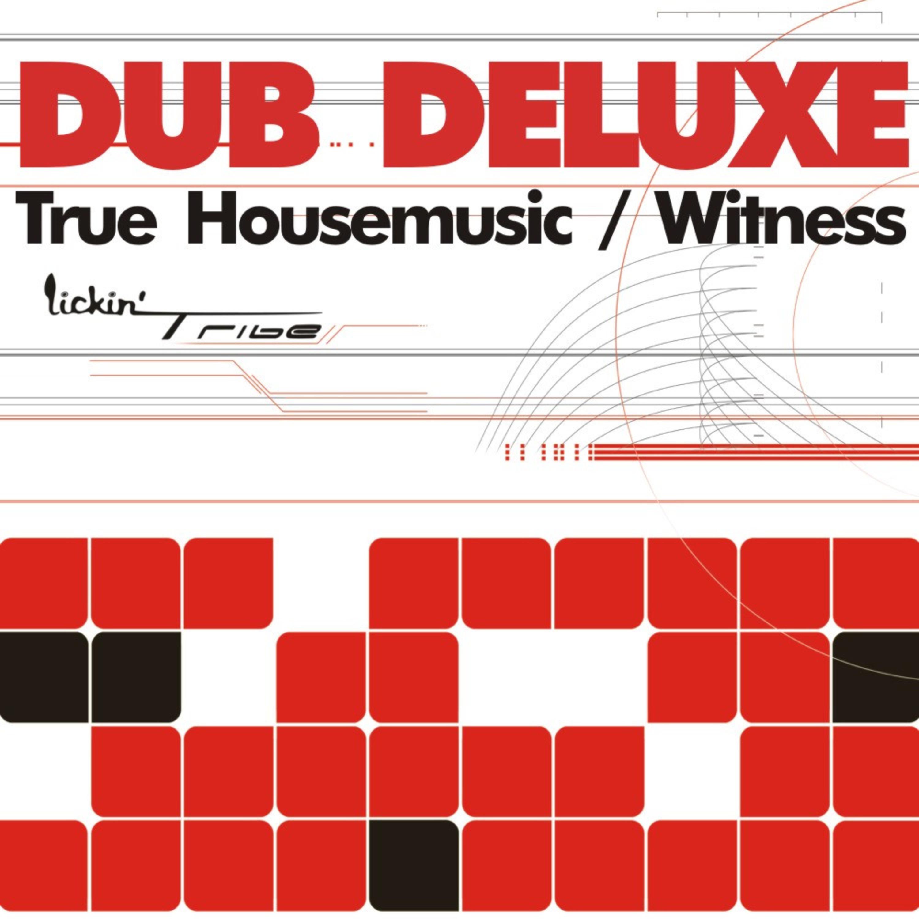 True Housemusic (Reloaded Tribal Club Mix)