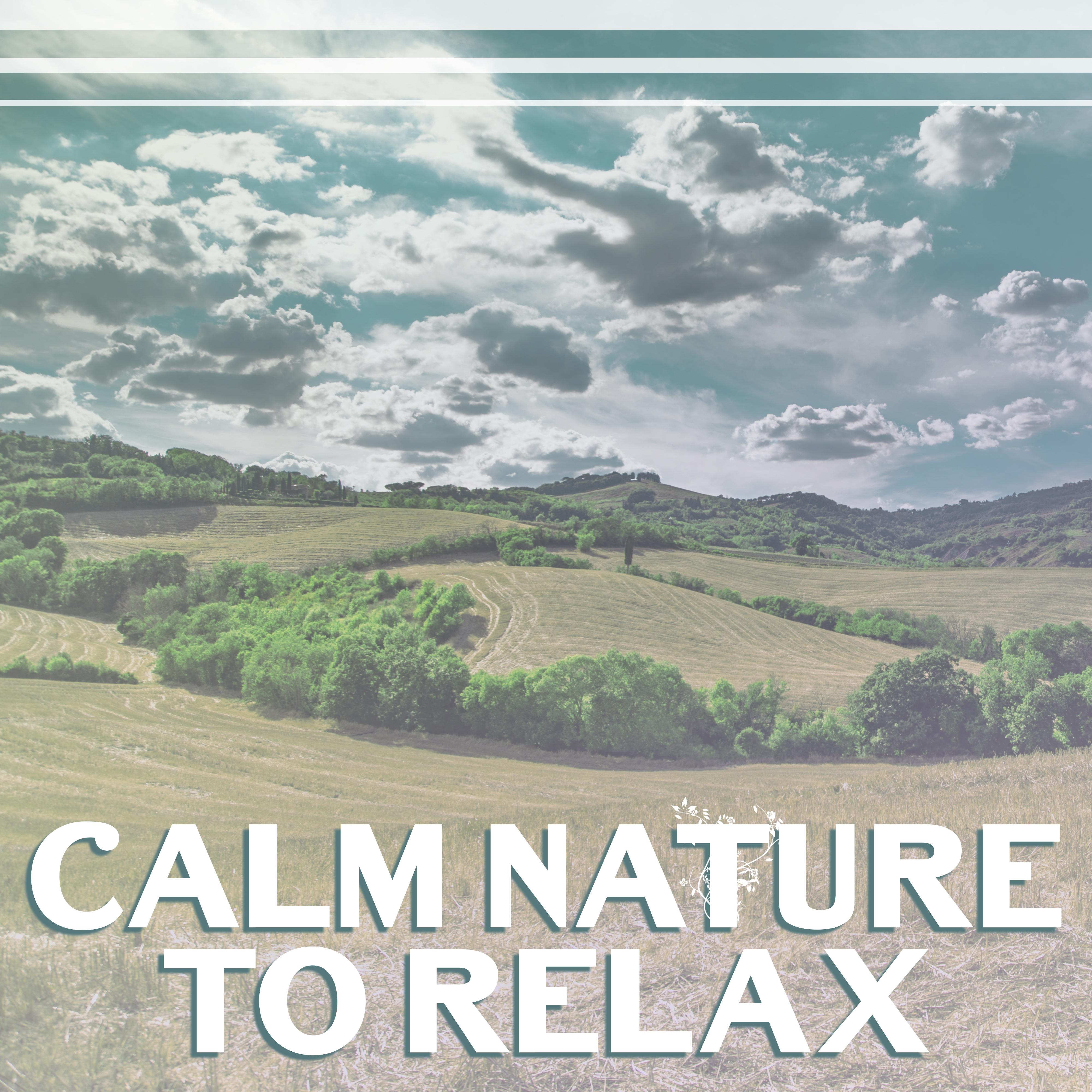 Calm Nature to Relax – Soft Music to Help You Rest, Peaceful Mind Sounds, Good Ways to Relax
