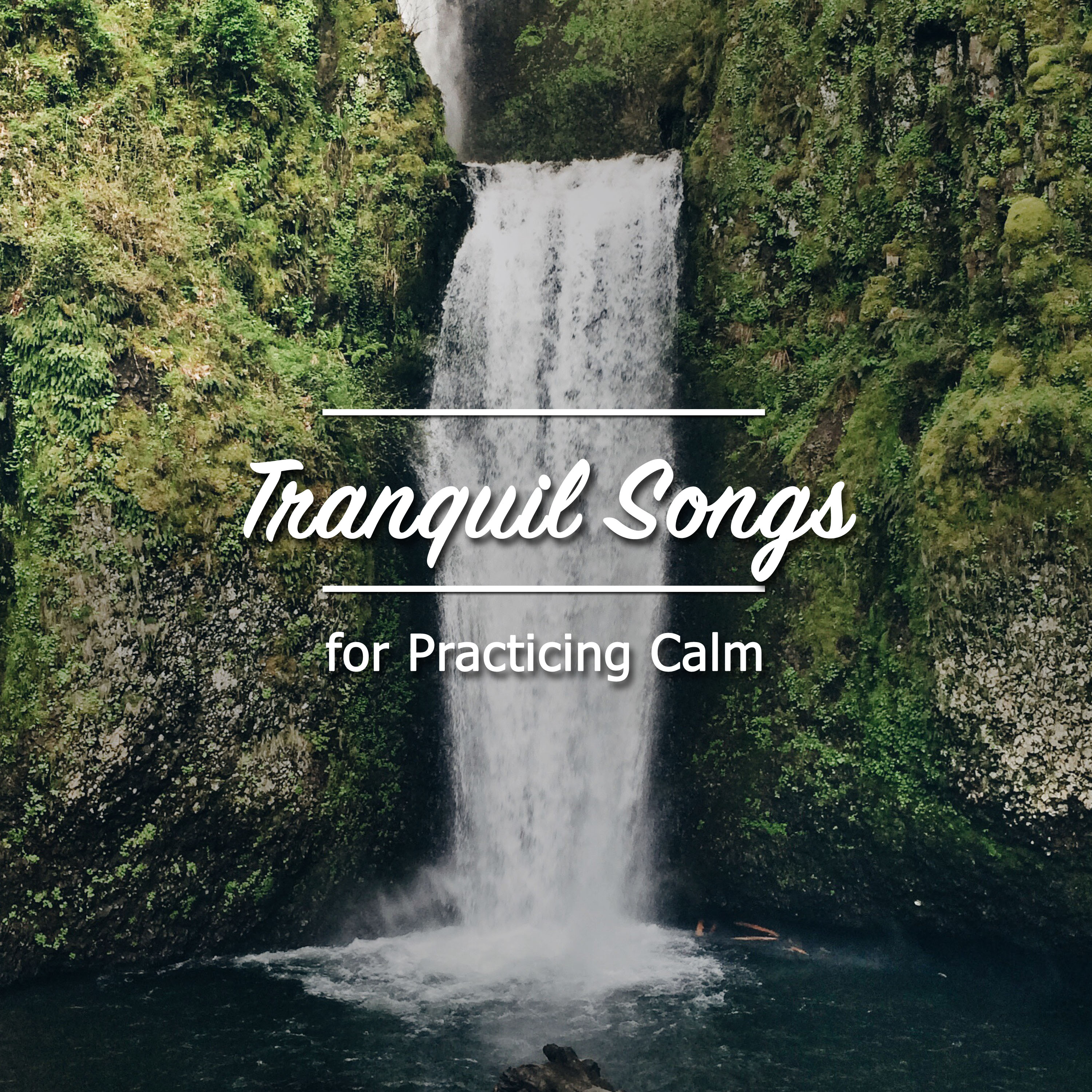 15 Tranquil Songs for Practicing Calm