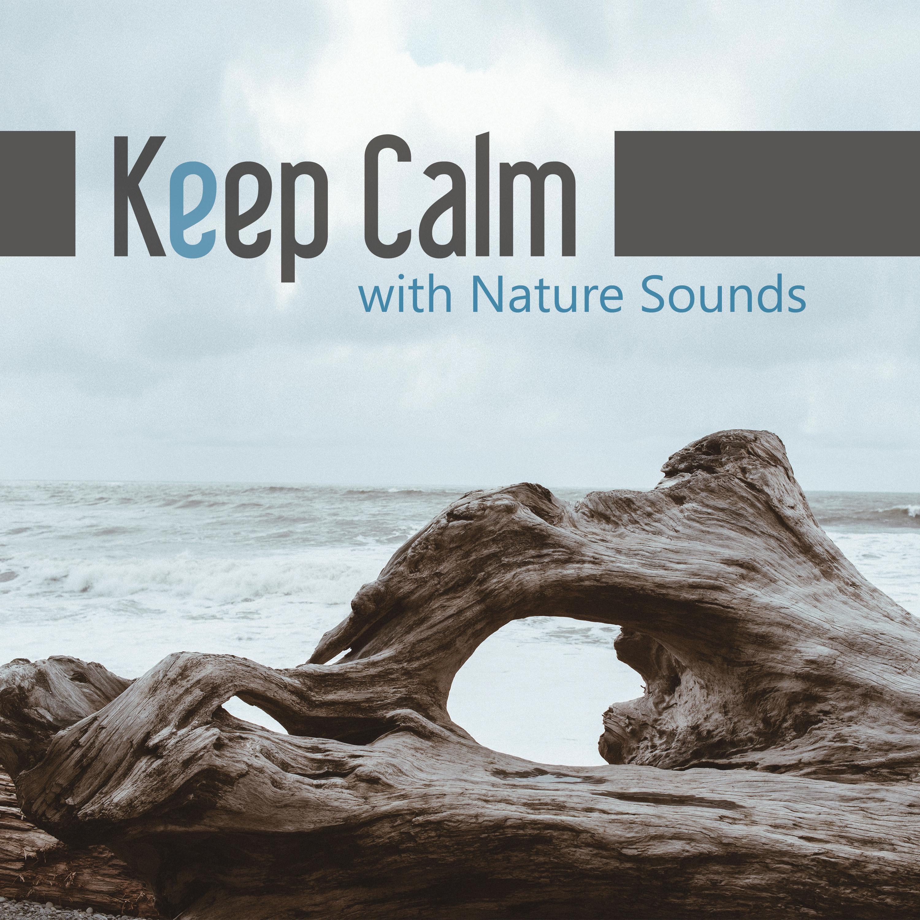 Keep Calm with Nature Sounds – Nature Sounds for Relaxation, Cure Insomnia, Soothing New Age Music