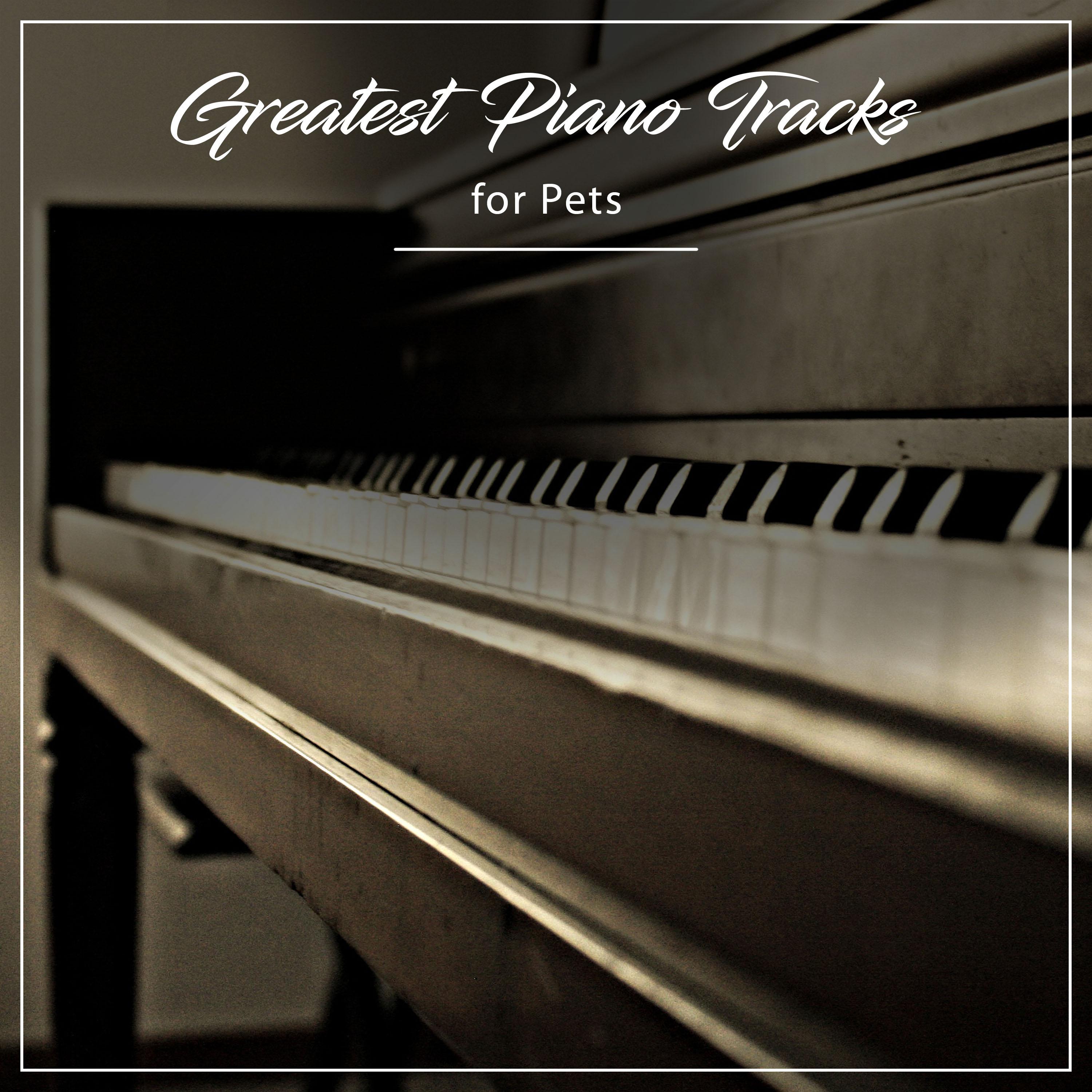 20 of the Greatest Piano Tracks for Pets