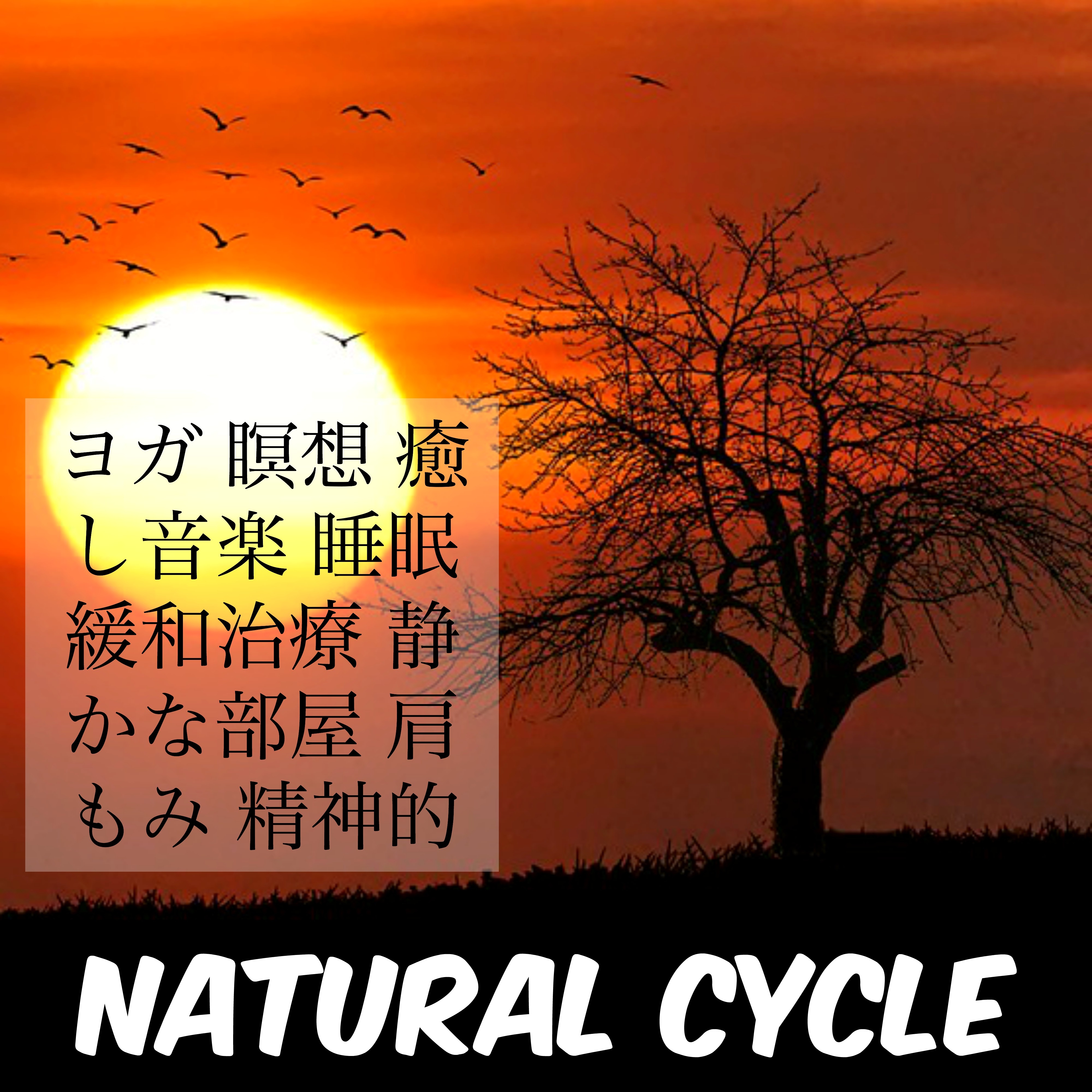 Natural Cycle - ヨガ 瞑想 癒し音楽 睡眠 緩和治療 静かな部屋 肩もみ 精神的