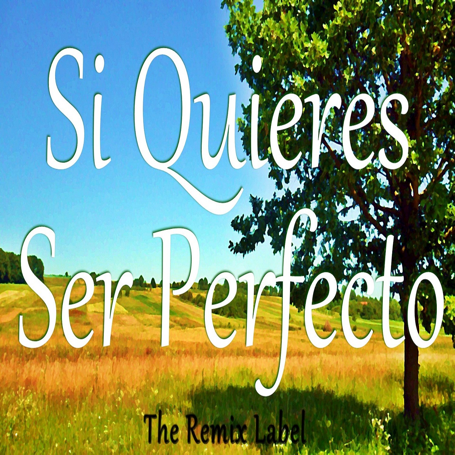 Si Quieres Ser Perfecto (Vocal Chillout Music Mix)