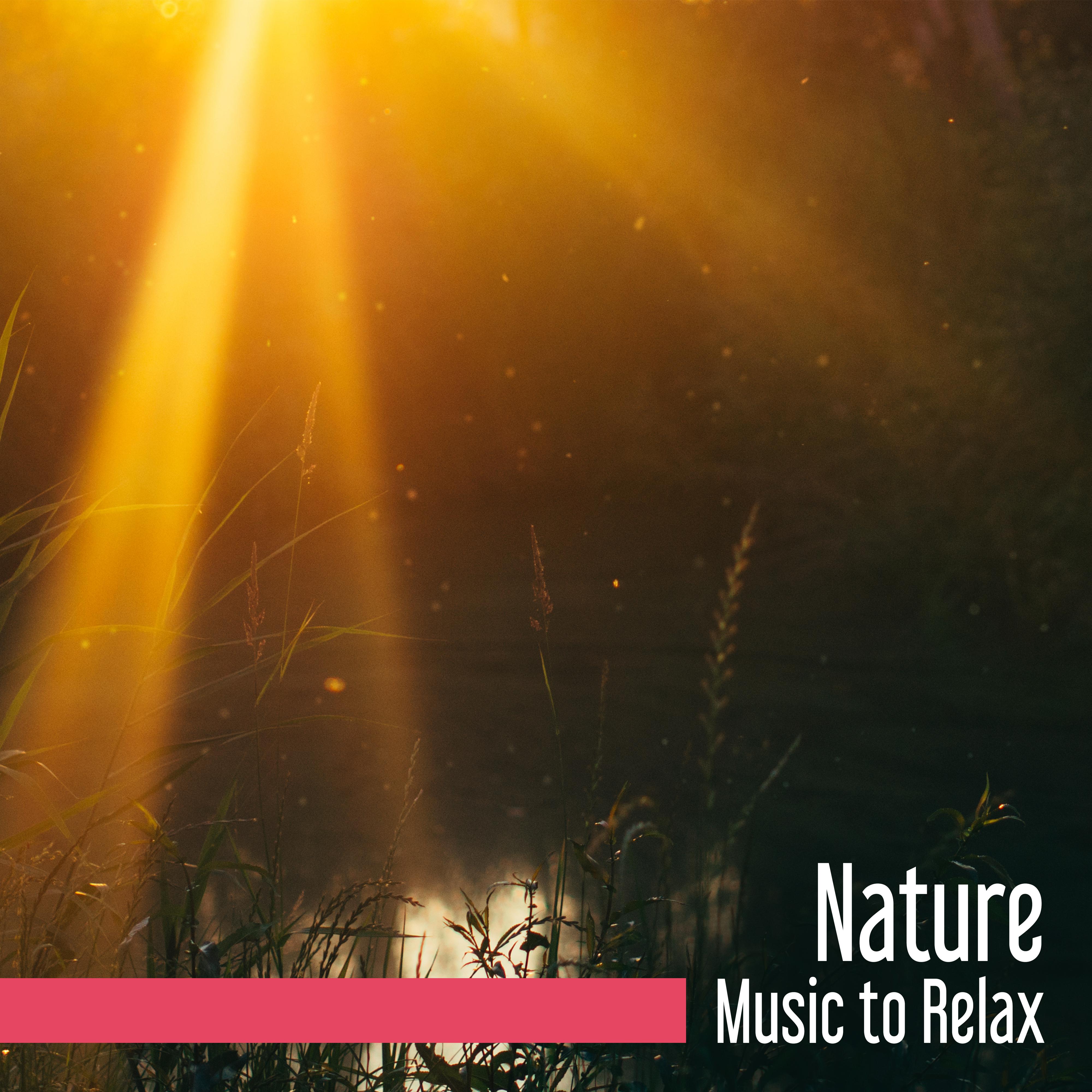 Nature Music to Relax – Easy Listening, Soothing Nature Sounds, Calm Your Mind, Peaceful Songs