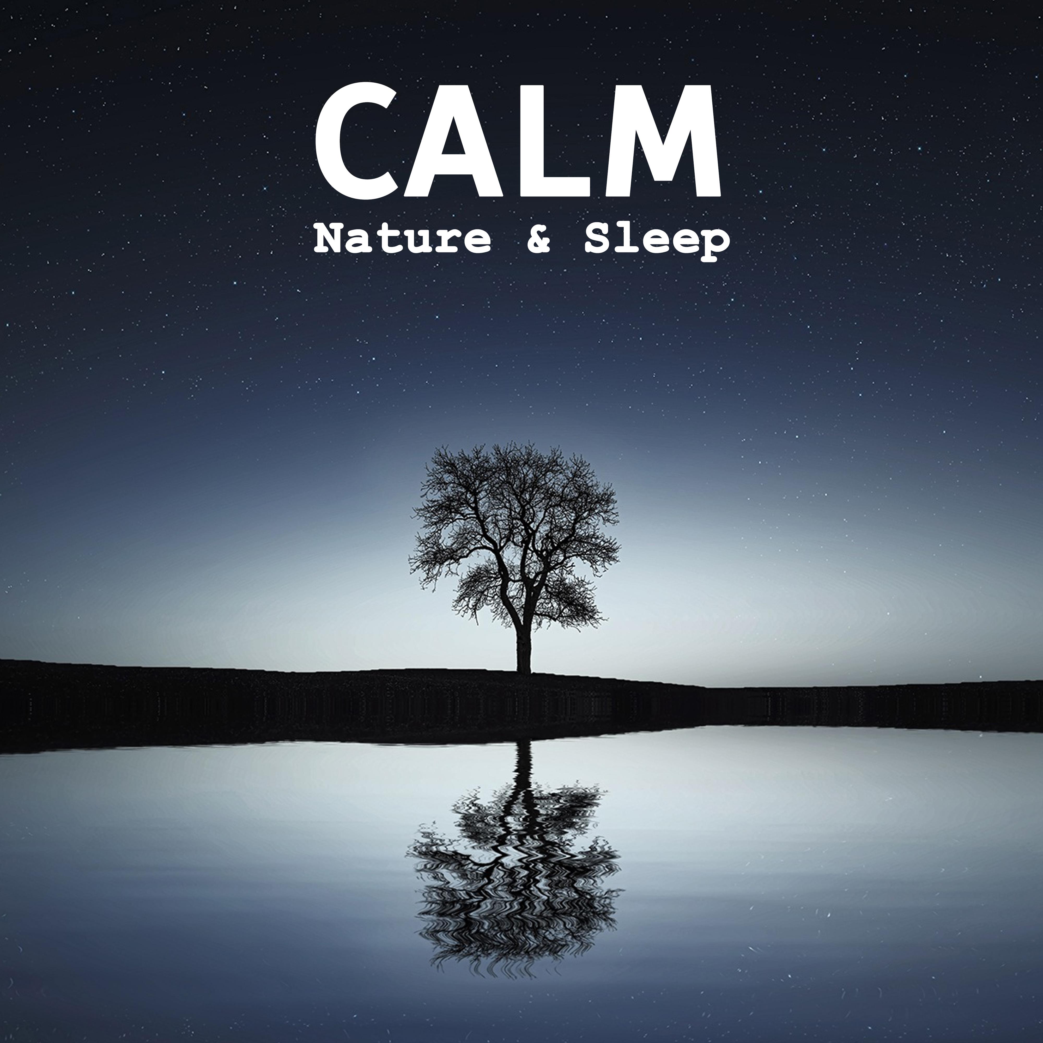 Calm Nature & Sleep – Peaceful Music for Relaxation, Restful Sleep, Deep Dreams, Soothing Sounds to Calm Down, Inner Harmony, Sweet Dreams, Music at Goodnight