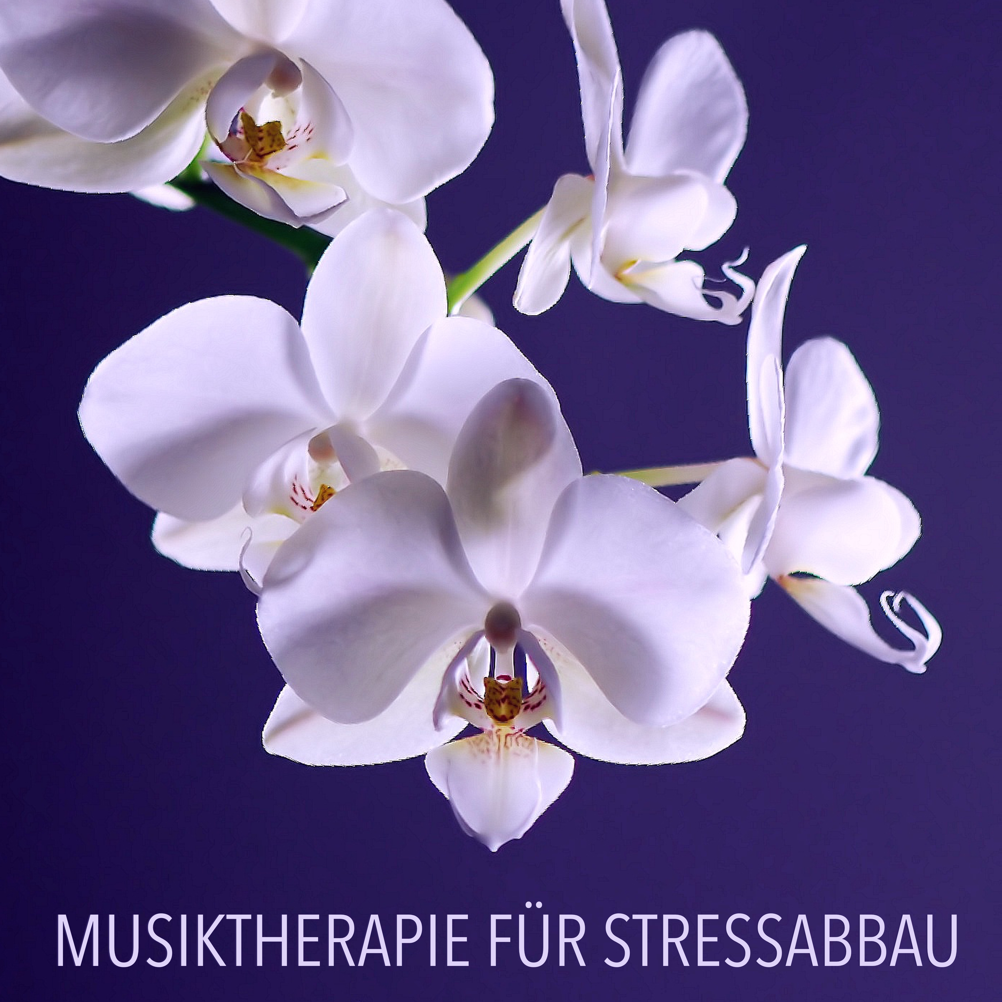 Musiktherapie für Stressabbau - Eine Sammlung der Besten Zen Meditationsmusik und Tiefenentspannungsmusik für Massage und Gesunden Schlaf