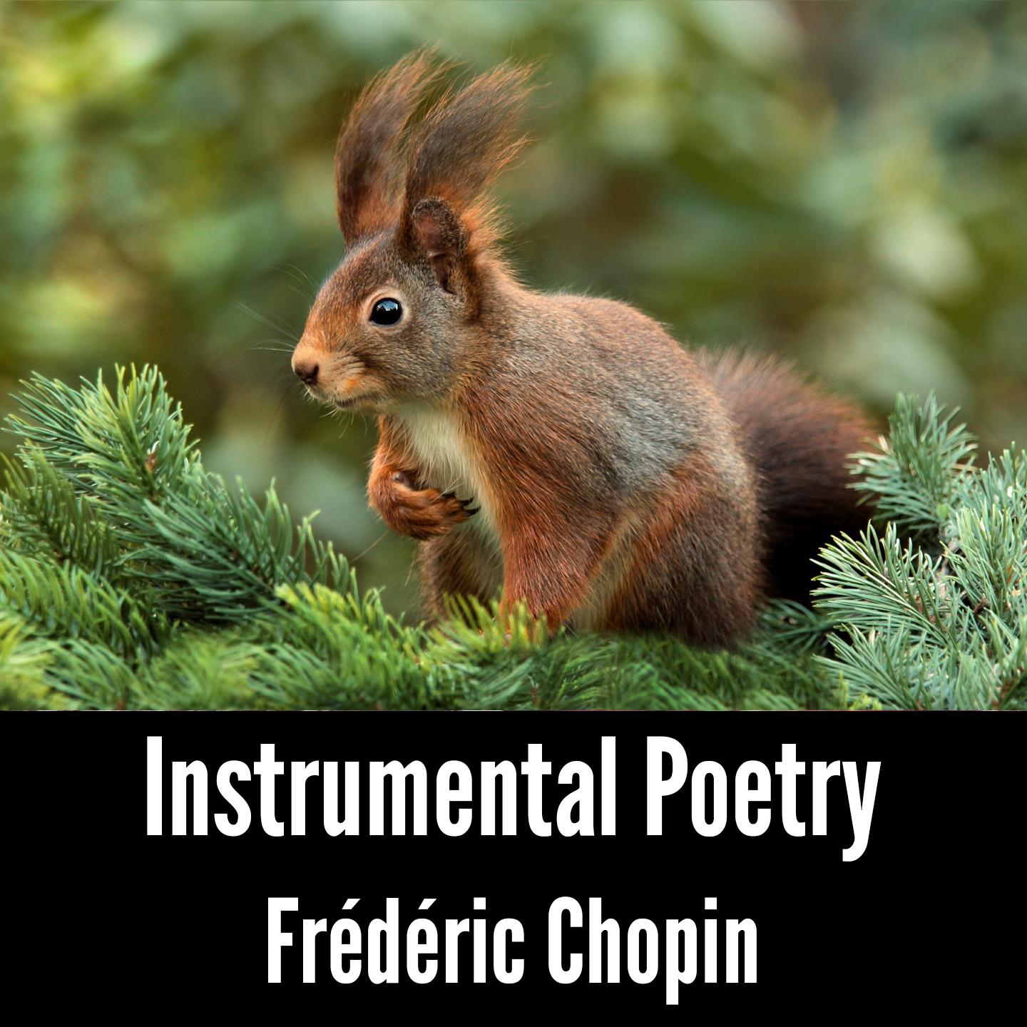 Instrumental Poetry: Frédéric Chopin