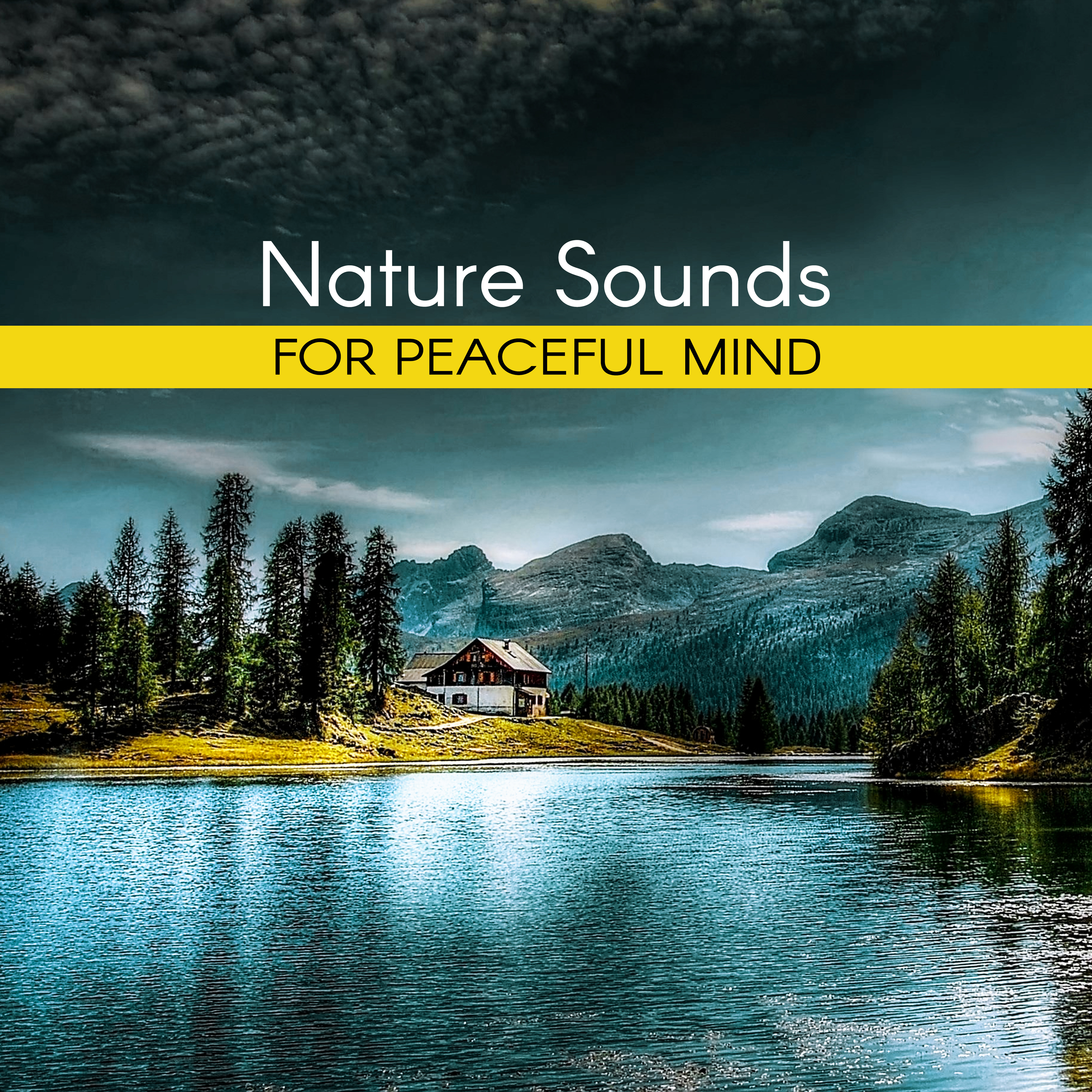 Nature Sounds for Peaceful Mind – Inner Calmness, Harmony Waves, Water Sounds to Relax, New Age Music