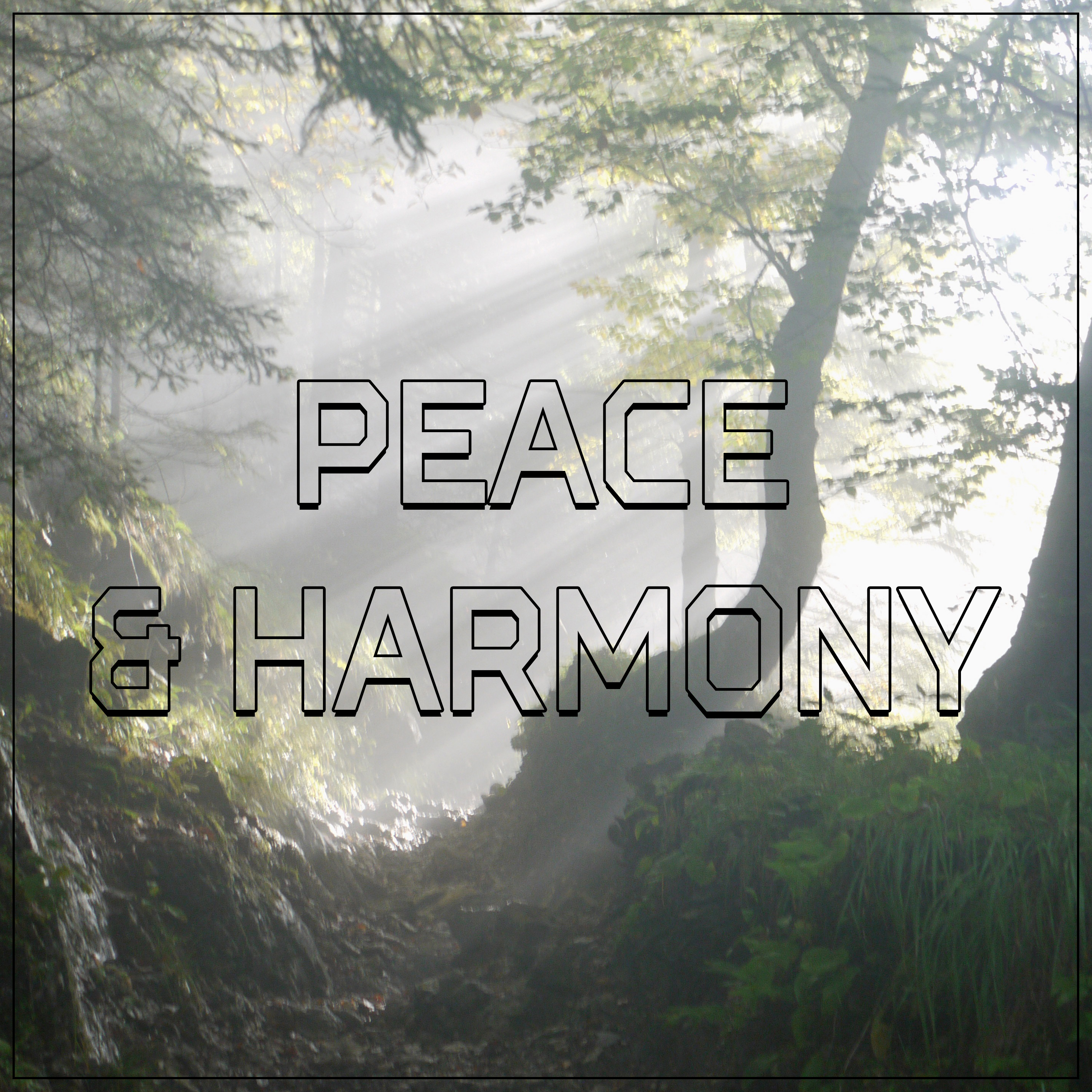 Peace & Harmony – New Age Sounds to Relax, Rest Yourself, Mind Control, Self Relaxation