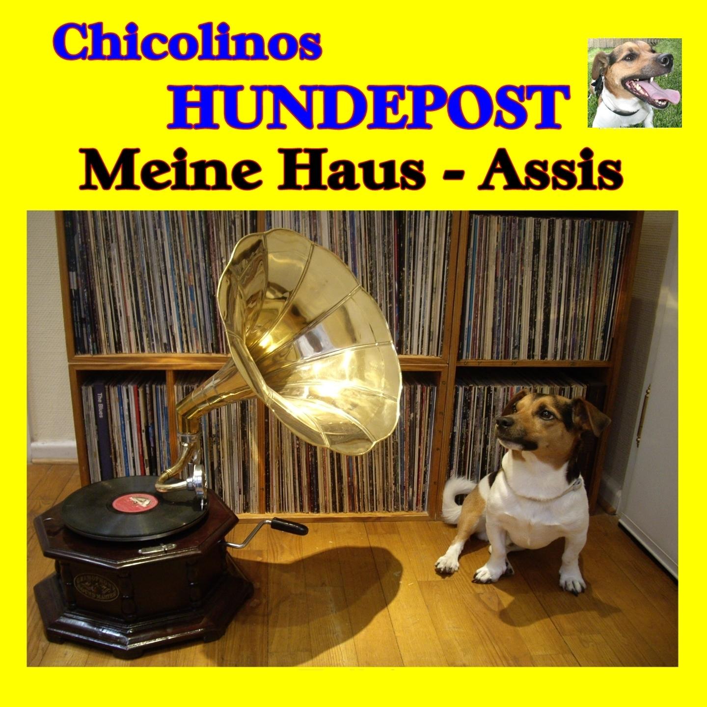 Chicolinos Hundepost (Meine Haus - Assis)