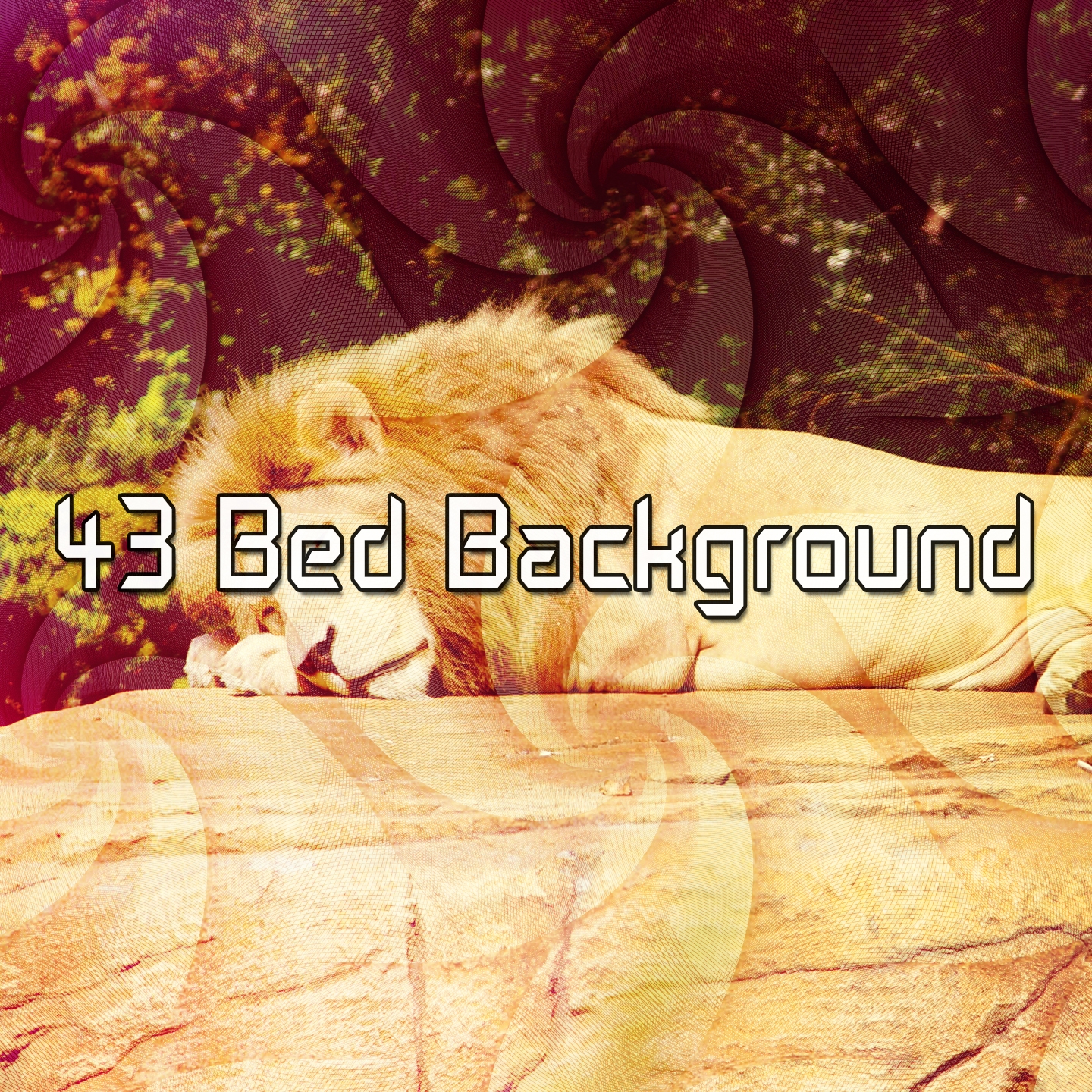 43 Bed Background