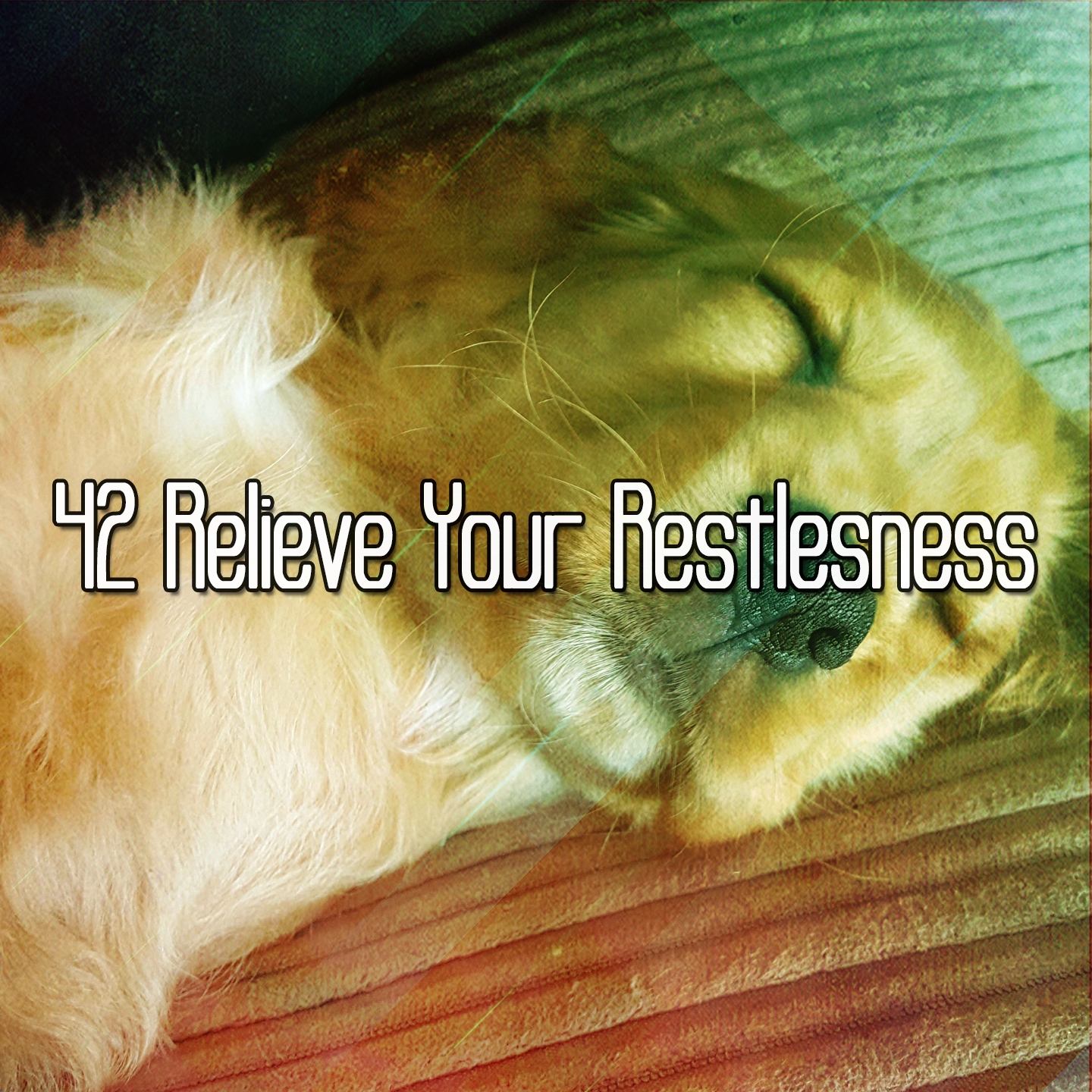 42 Relieve Your Restlesness