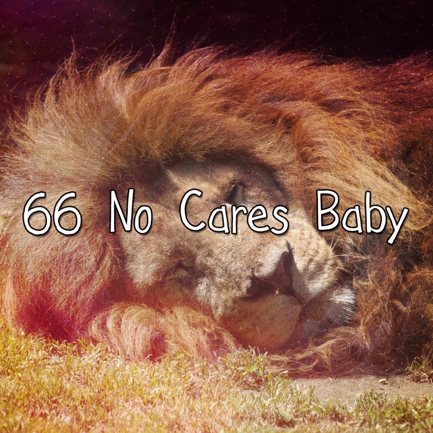 66 No Cares Baby