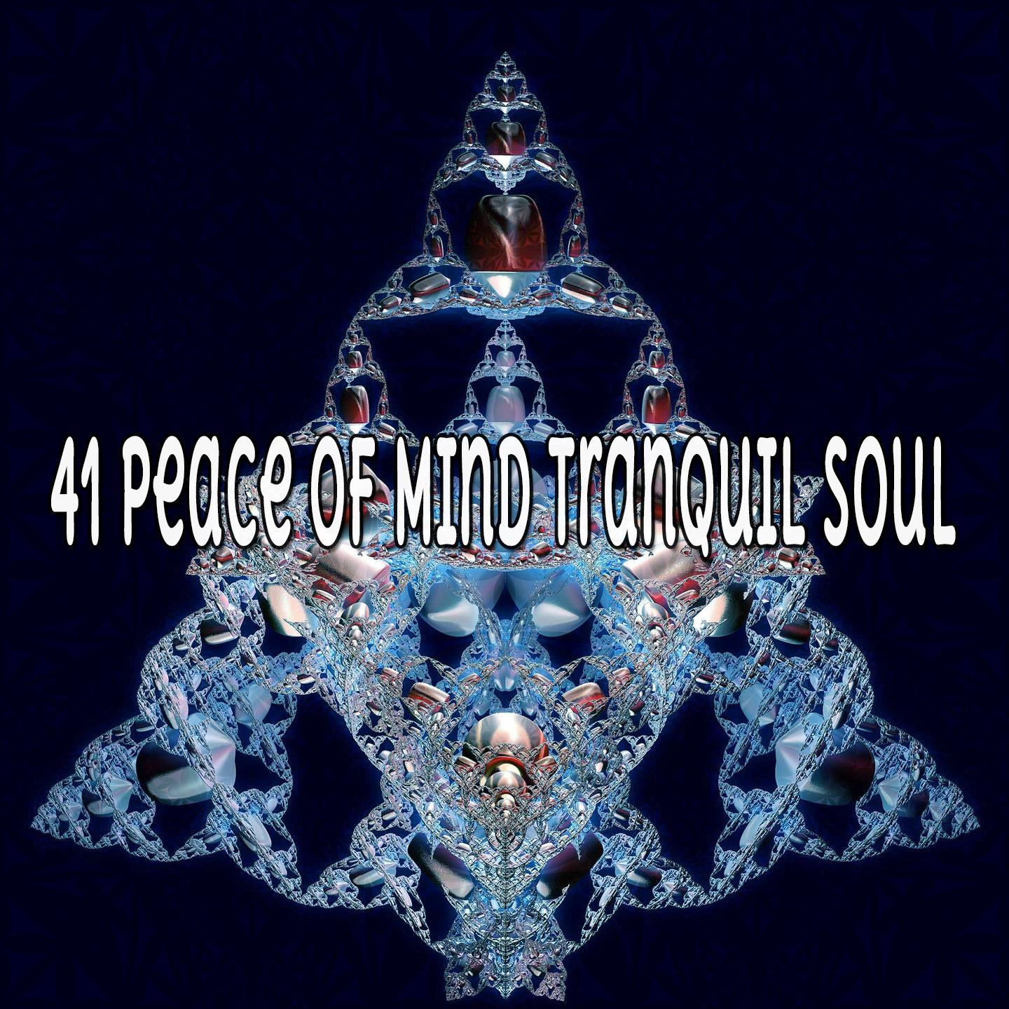 41 Peace Of Mind Tranquil Soul