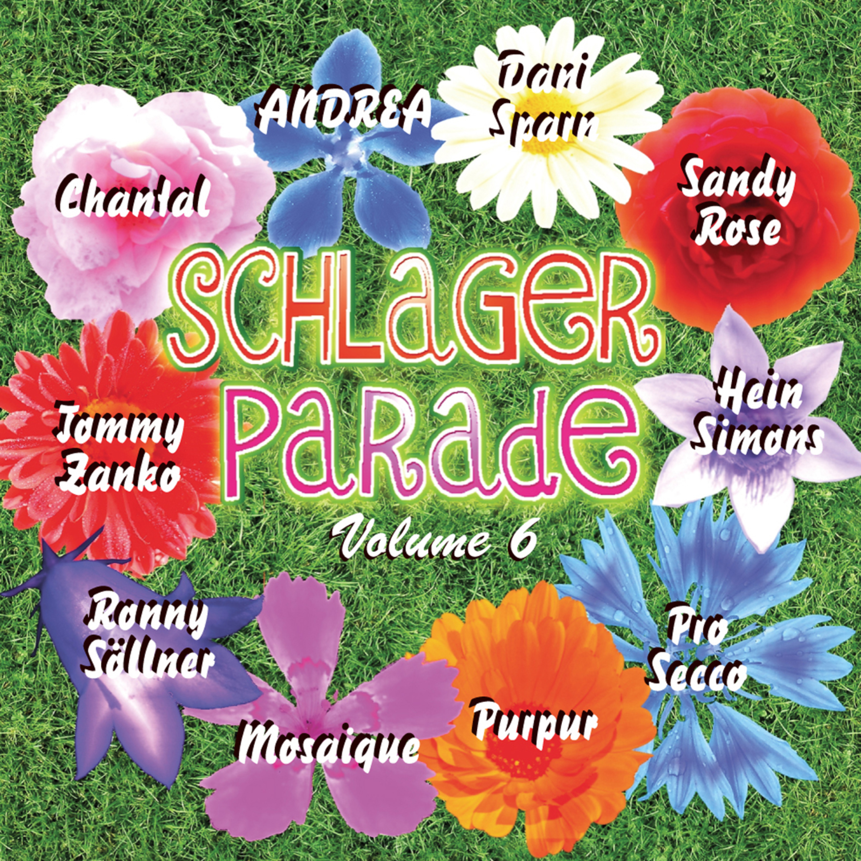 Schlagerparade (Vol. 6)