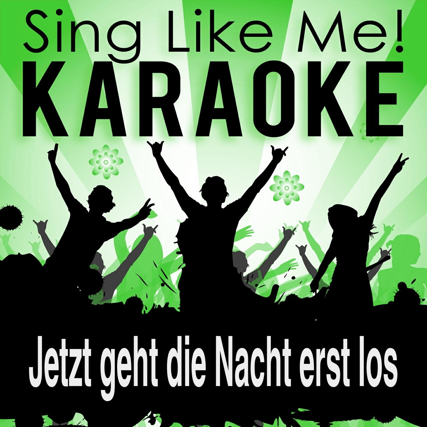 Jetzt geht die Nacht erst los (Karaoke Version)