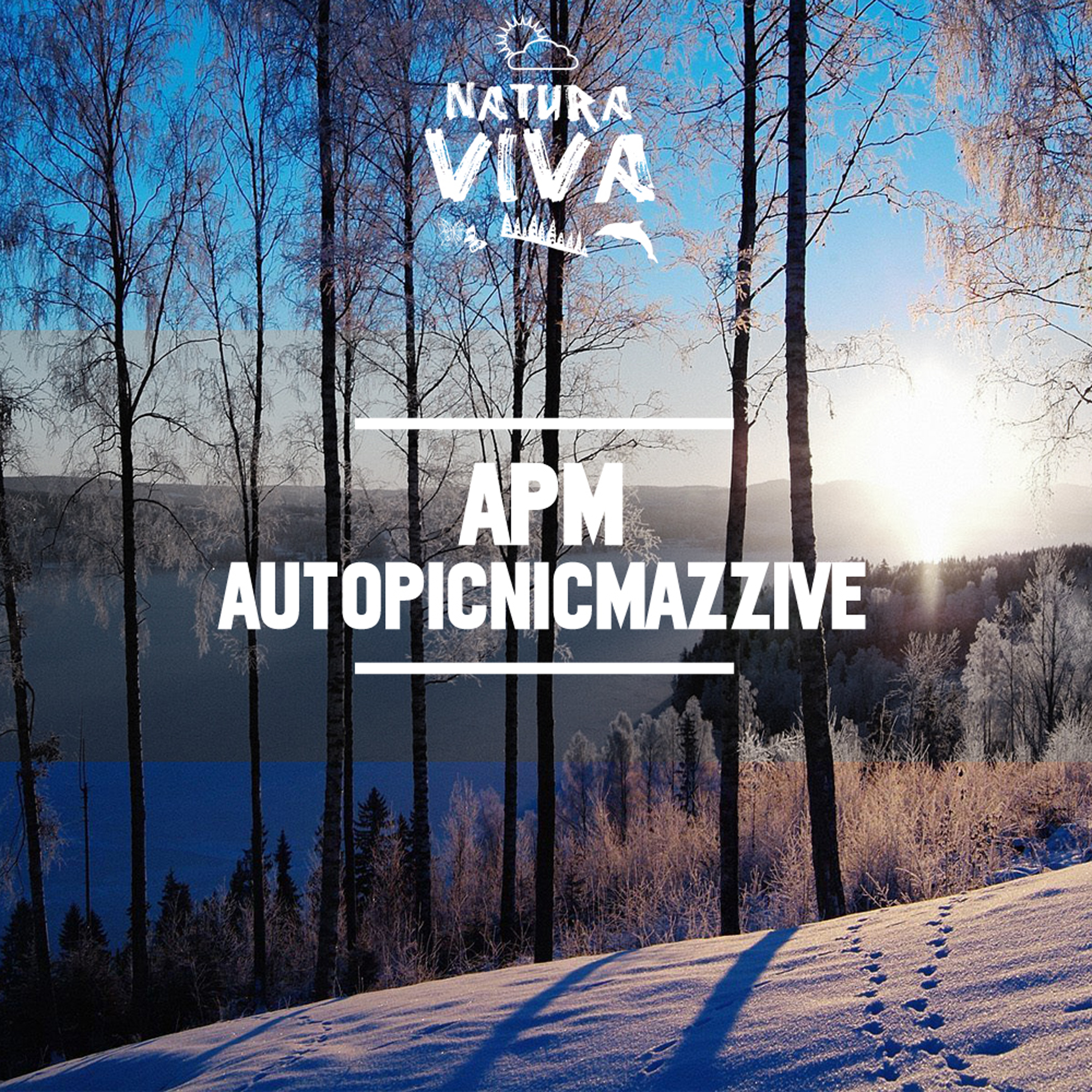 AutoPicnicMazzive